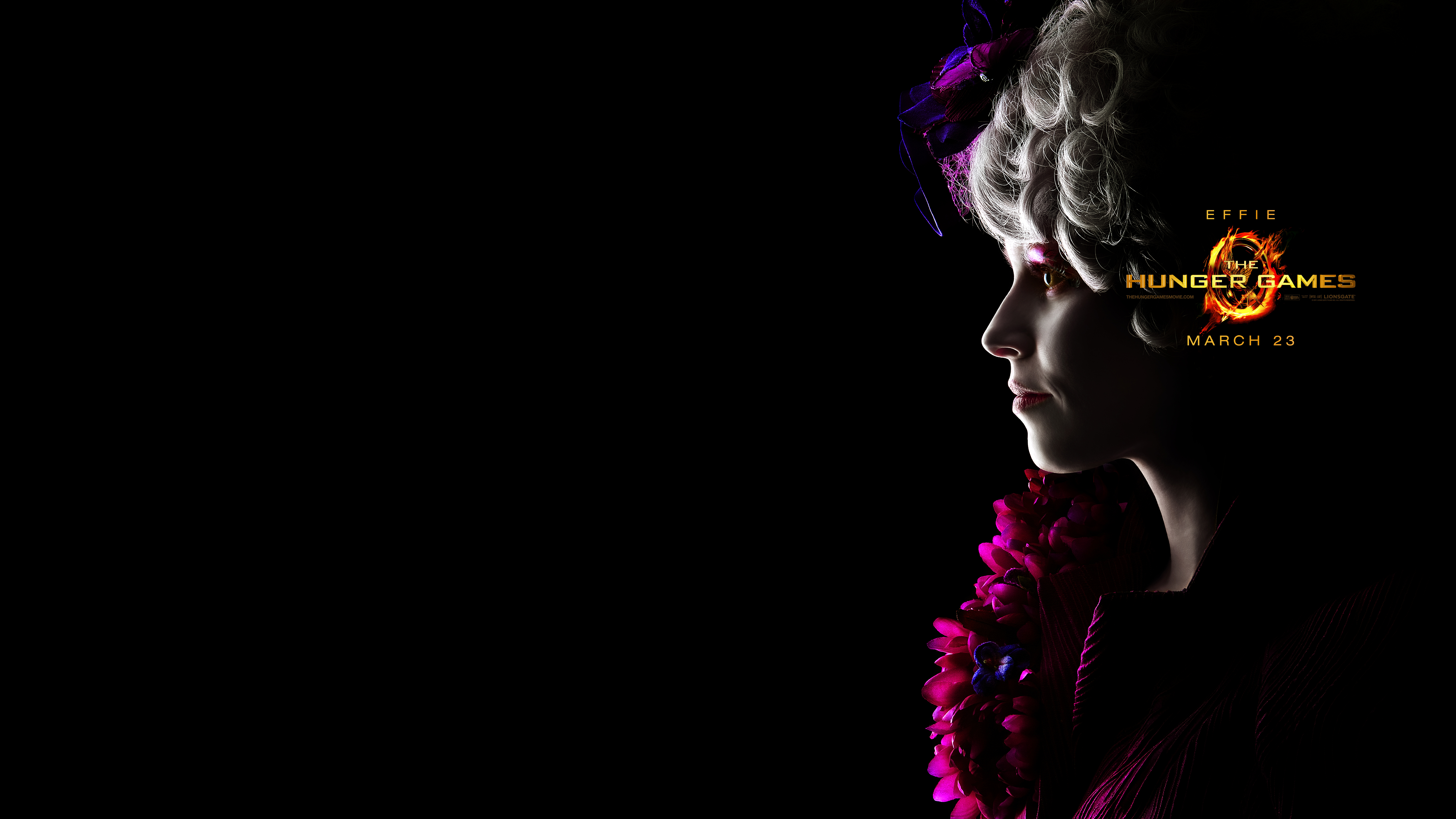 Hunger Games - HD Wallpaper 