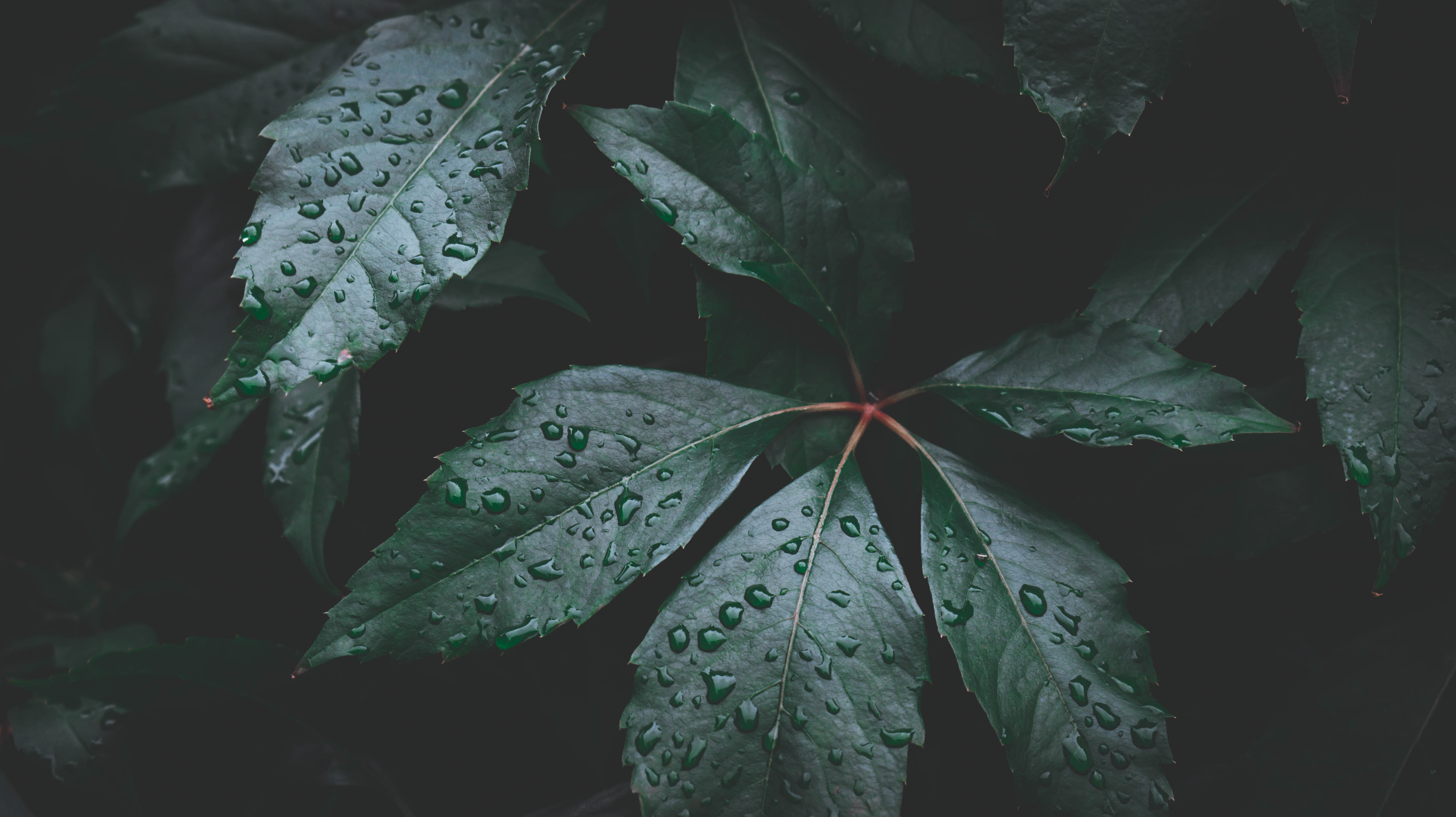 Hebrews 7 25 - HD Wallpaper 