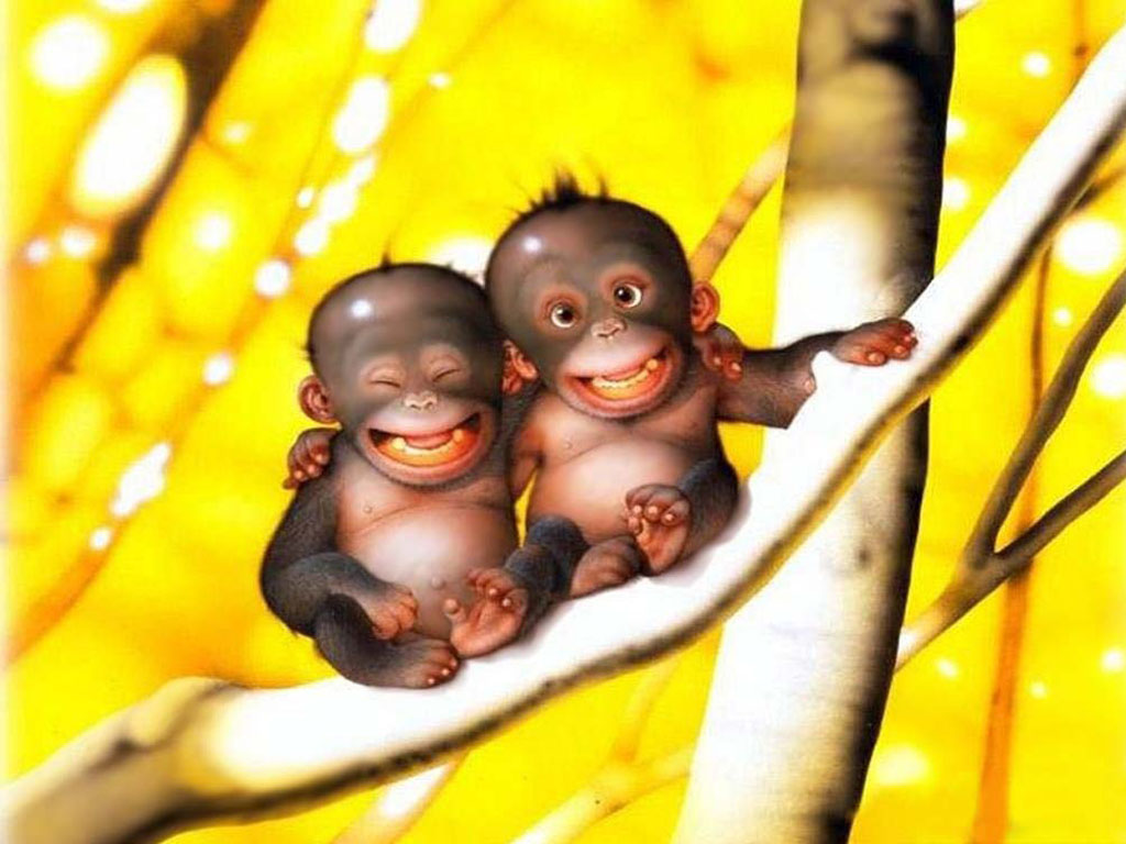 Free Funny Wallpapers - Baby Monkey Yellow Background - HD Wallpaper 