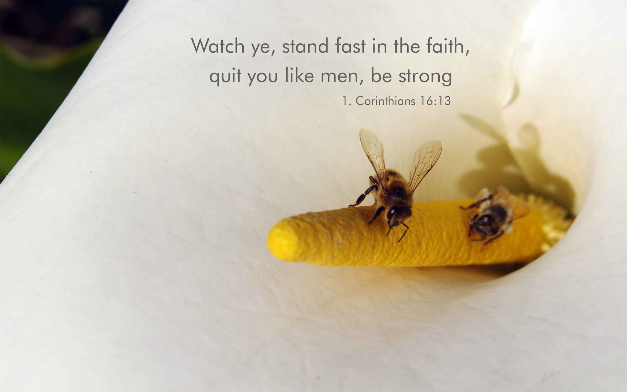 Fb Background 1 Corinthians 13 - HD Wallpaper 