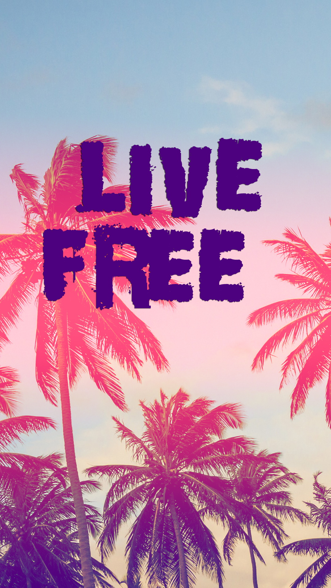 Header Summer Palm Trees - HD Wallpaper 