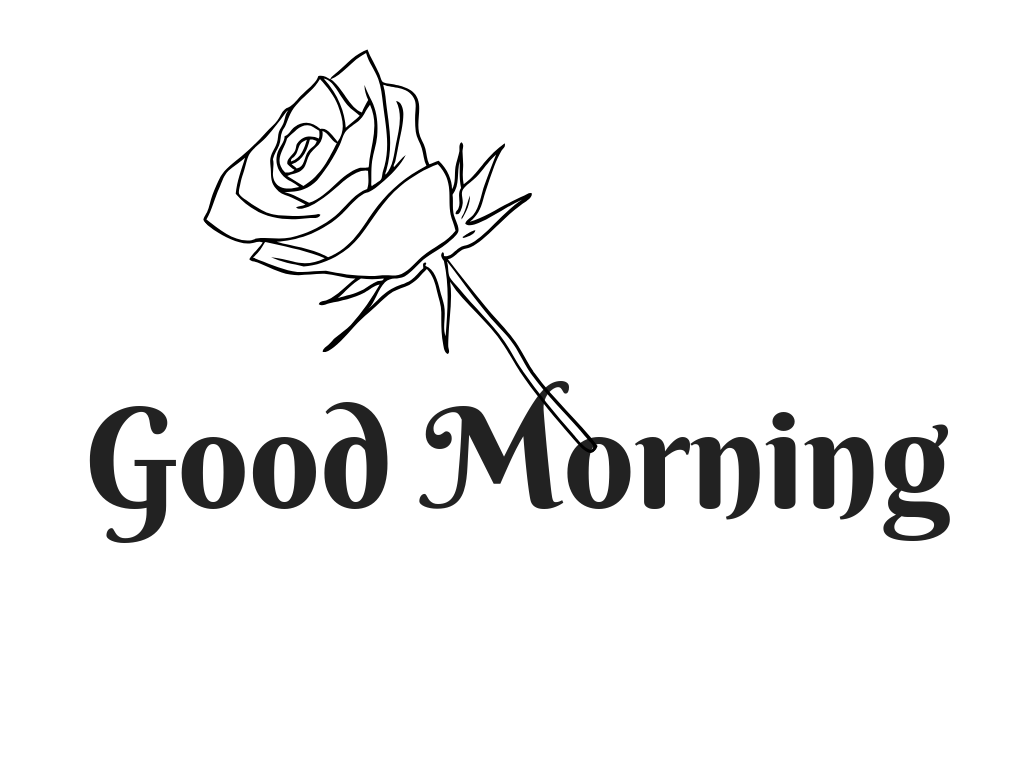 Free Good Morning Picture And Images For Whatsapp - HD Wallpaper 