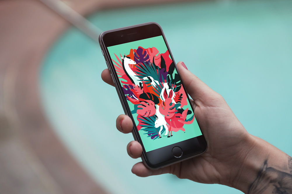 European Health Insurance Card Digital - HD Wallpaper 