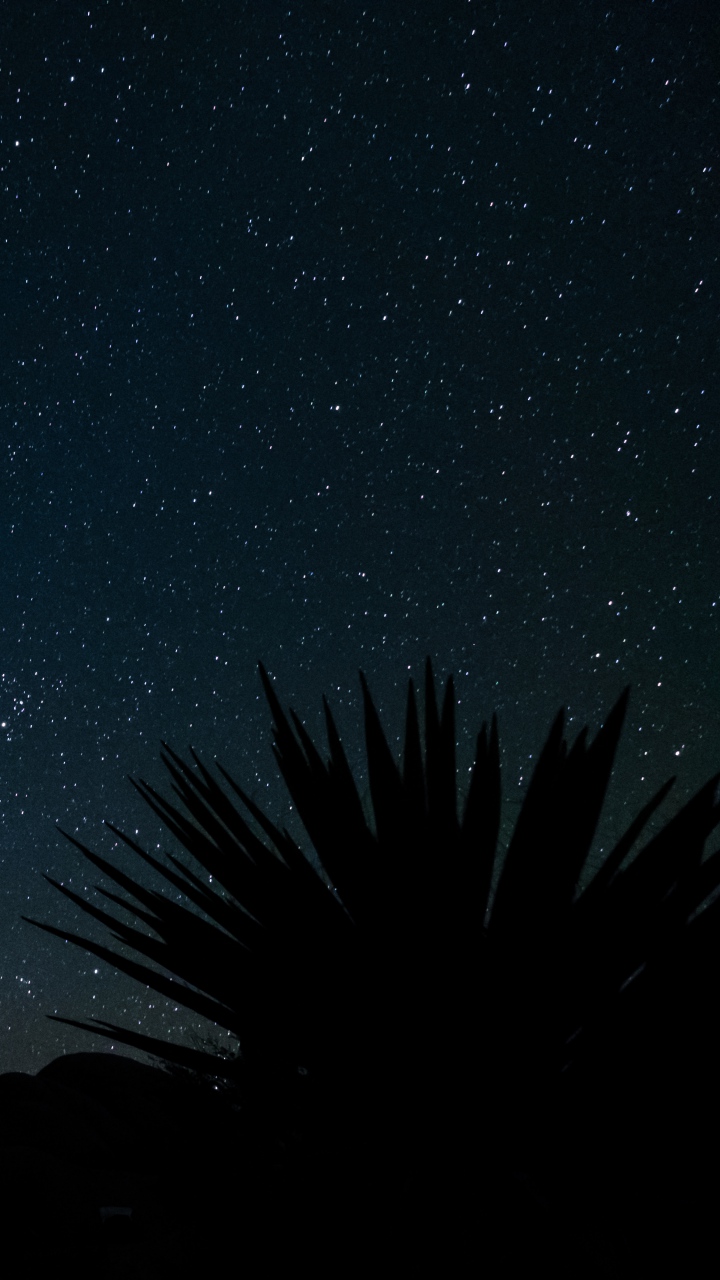 Starry Sky Stars Space Wallpaper - Night - HD Wallpaper 