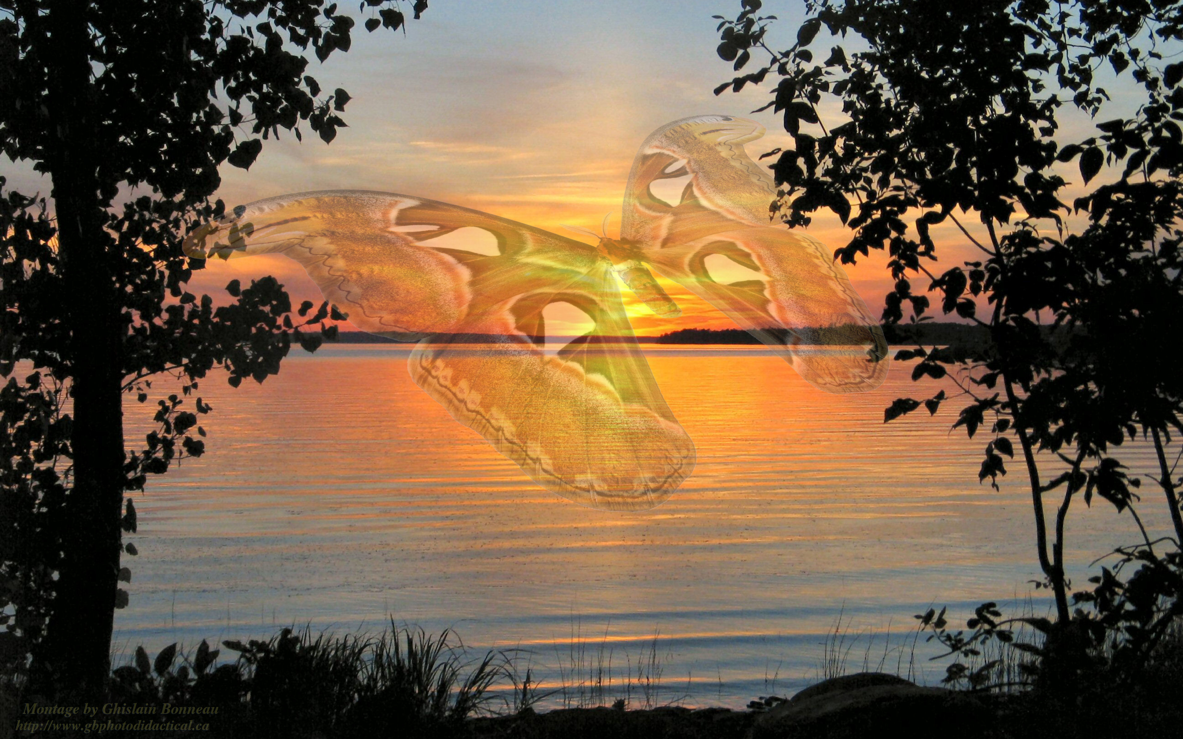 Painting - HD Wallpaper 