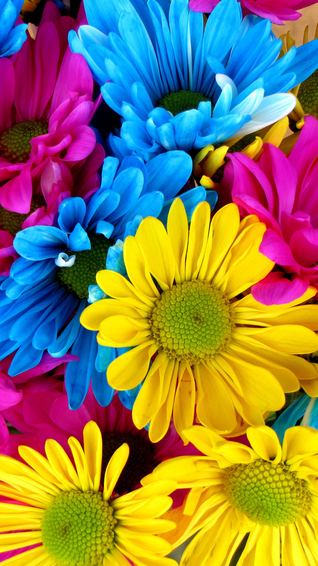4k Flower Wallpaper For Mobile - 1080x1920 Wallpaper 4k Flower Wallpaper For Mobile - 1080x1920 Wallpaper