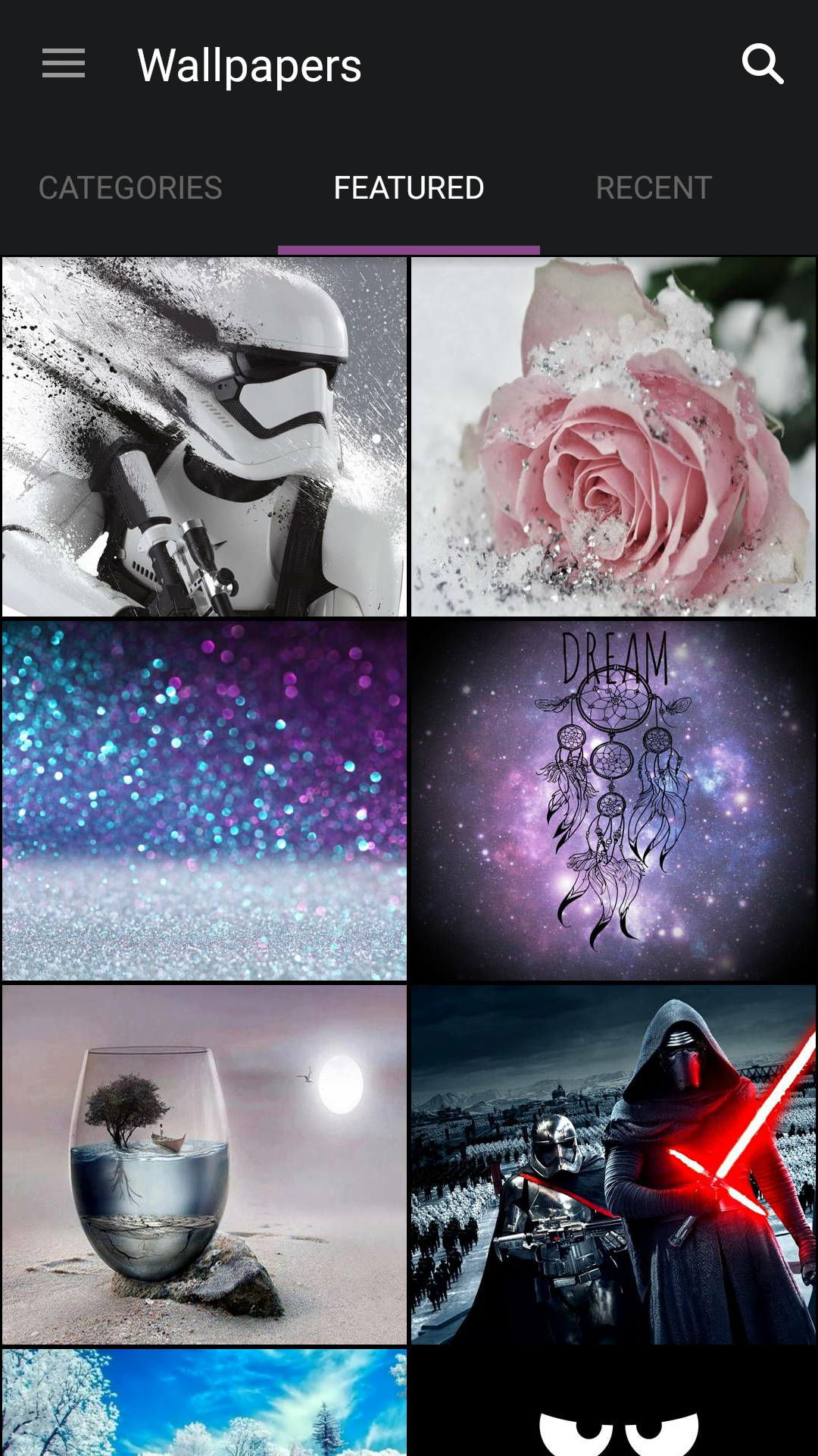 Garden Roses - HD Wallpaper 