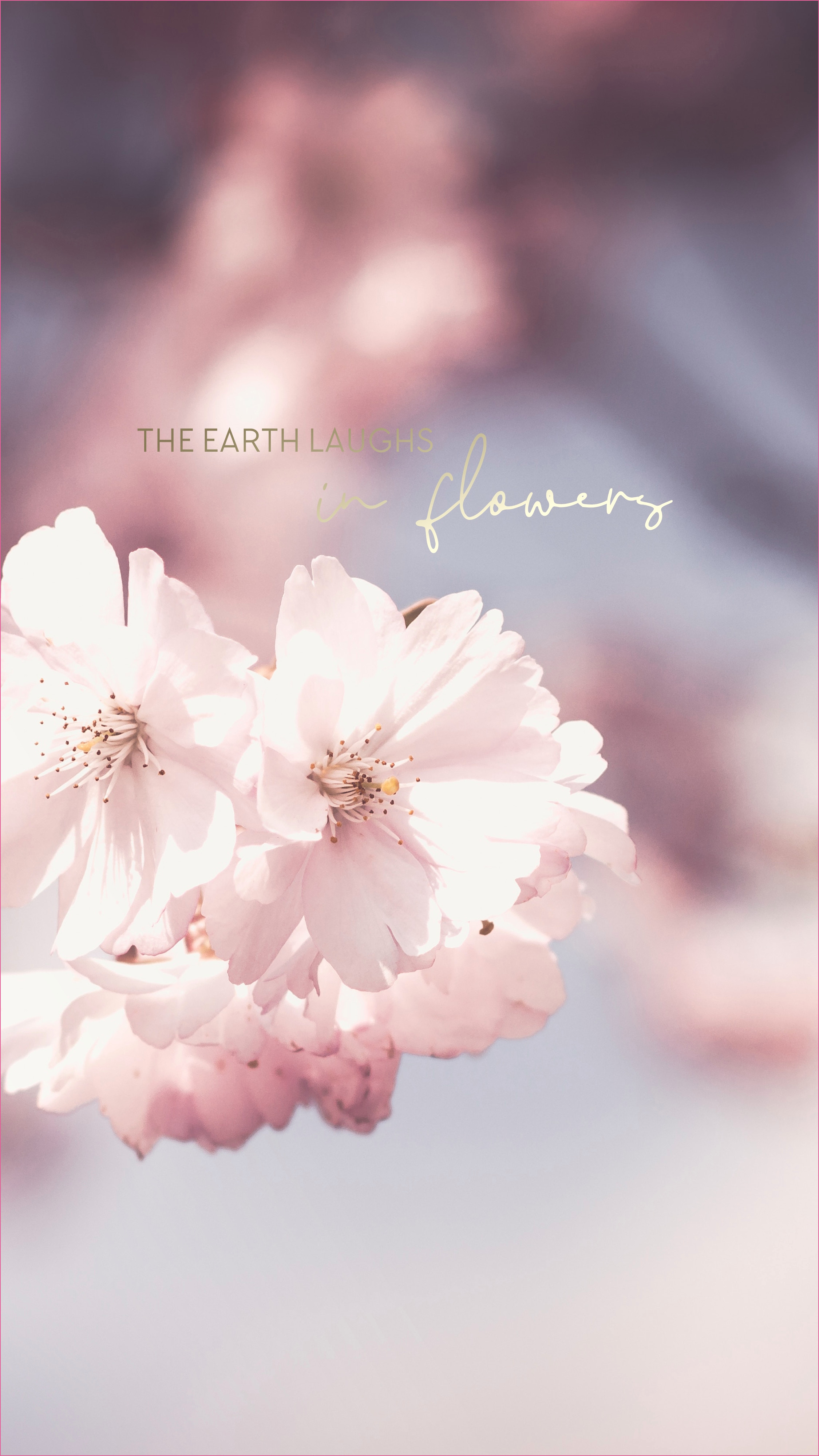 Handy Hd Wallpaper Free Wallpapers Discover New Designs - Hintergründe Für Handy - HD Wallpaper 