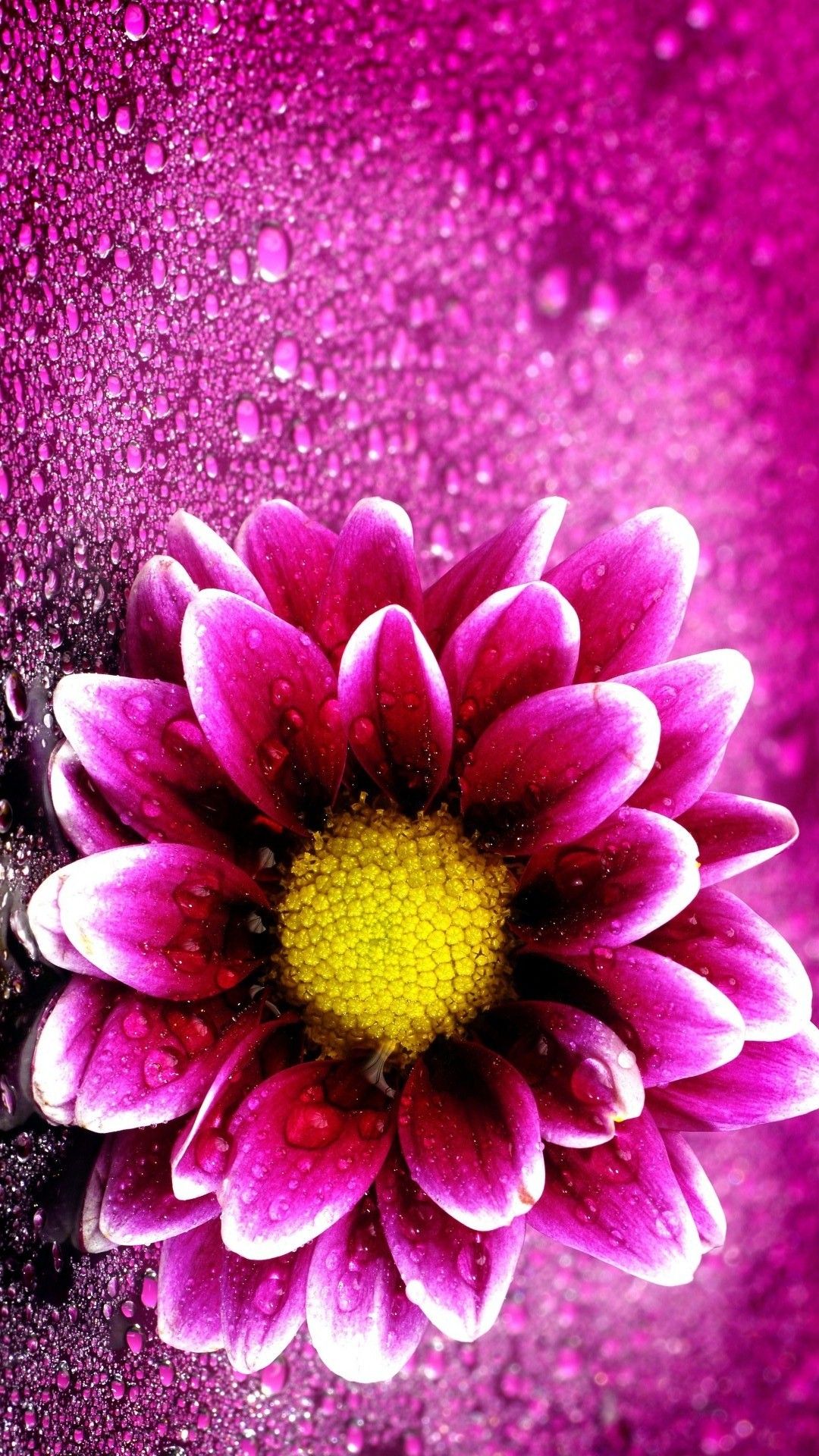 Iphone 3d Wallpaper Flower - 1080x1920 Wallpaper 