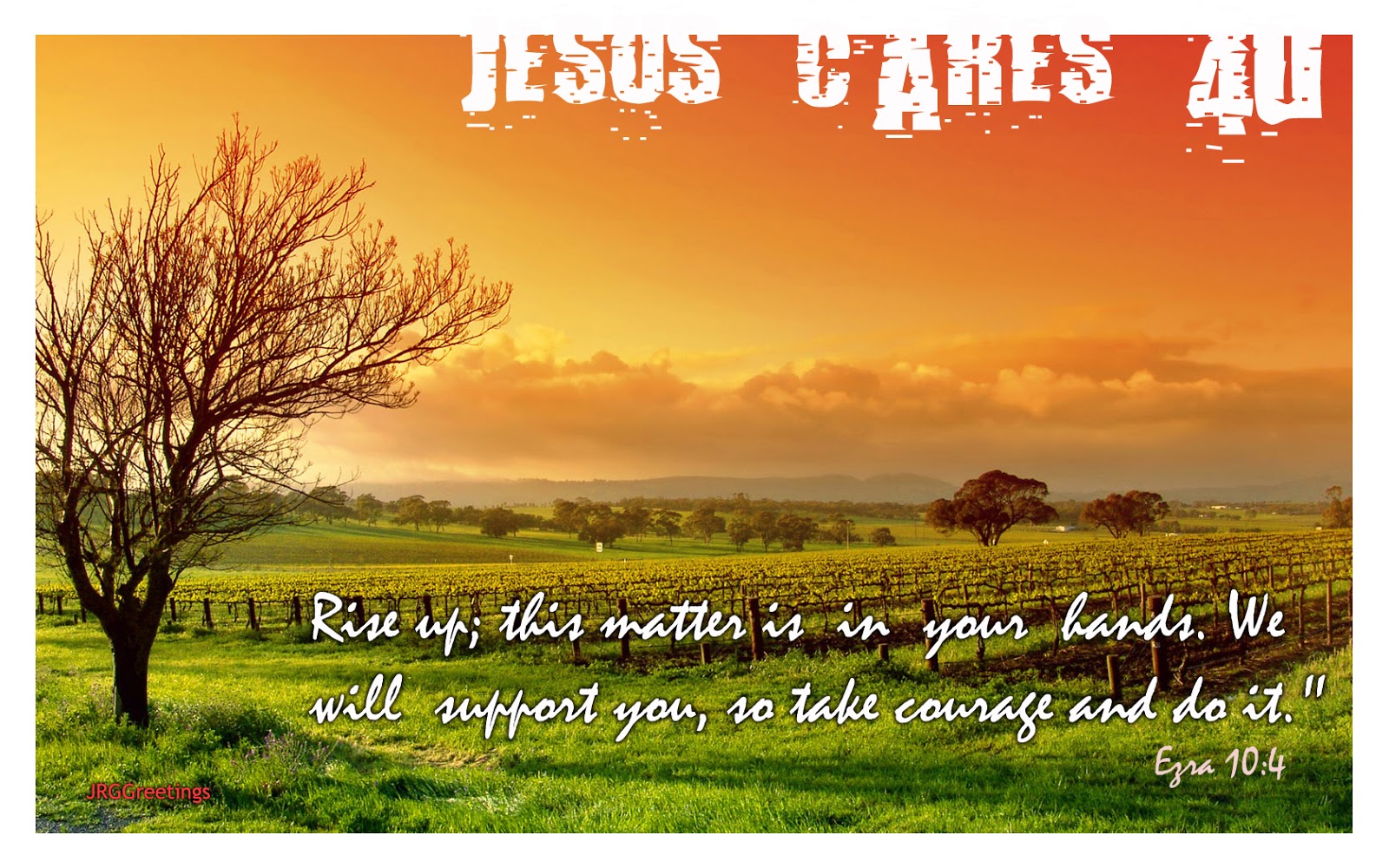 Vineyard Wallpaper Hunter Valley - HD Wallpaper 