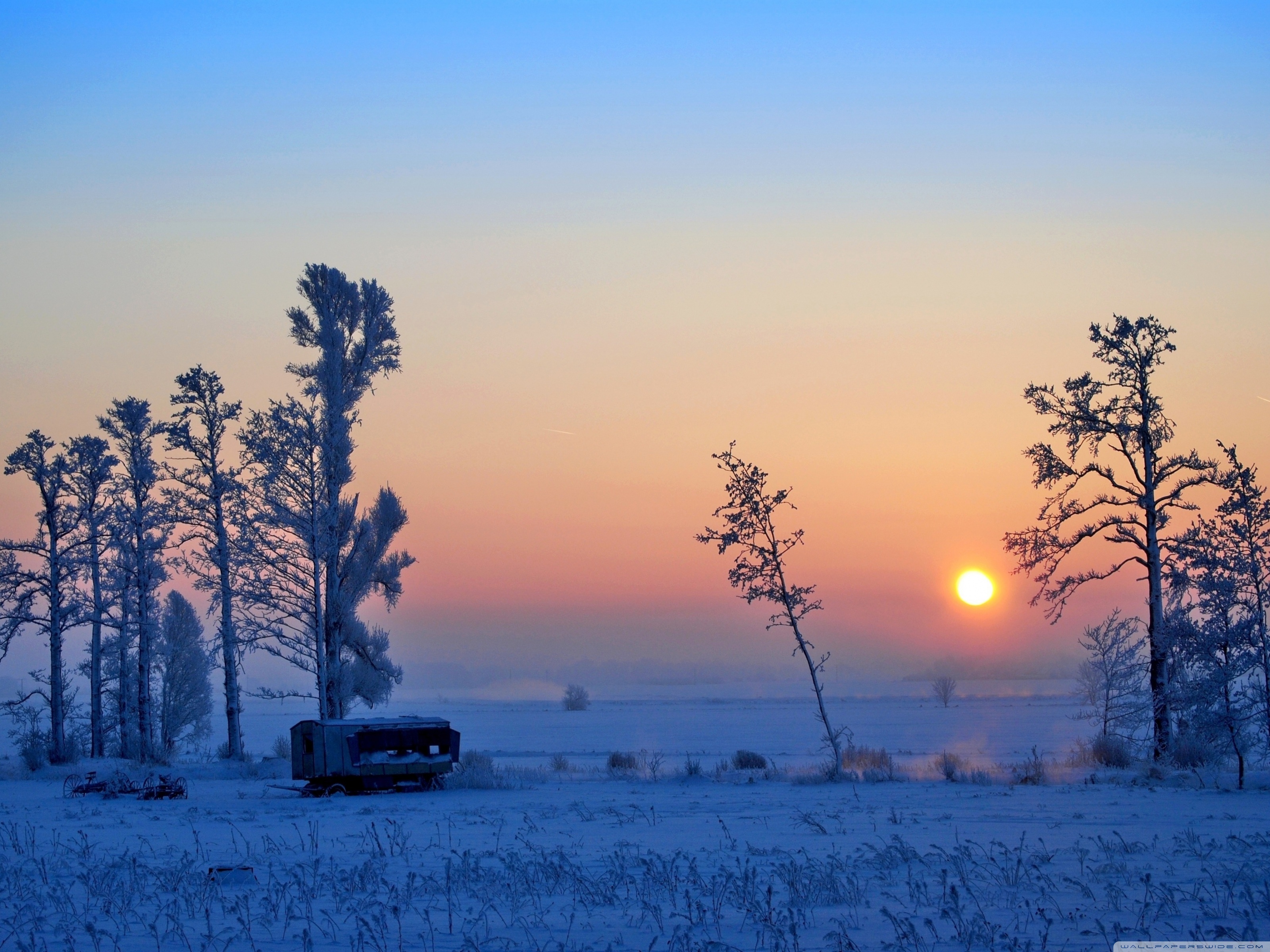 Winter Morning Picture Hd - HD Wallpaper 