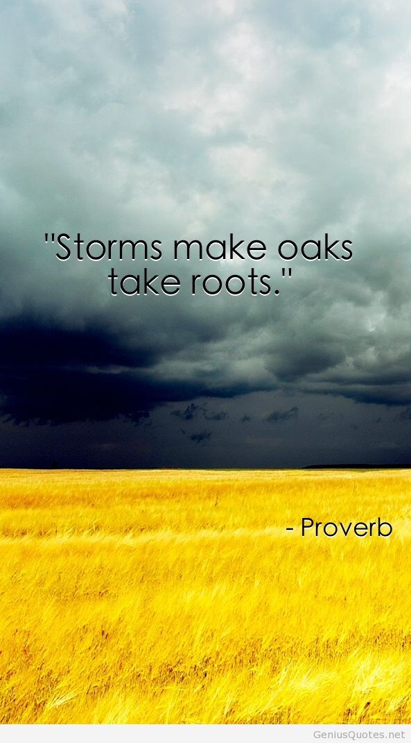 2014 New Proverb Wallpaper Quote - Cute Proverbs - HD Wallpaper 