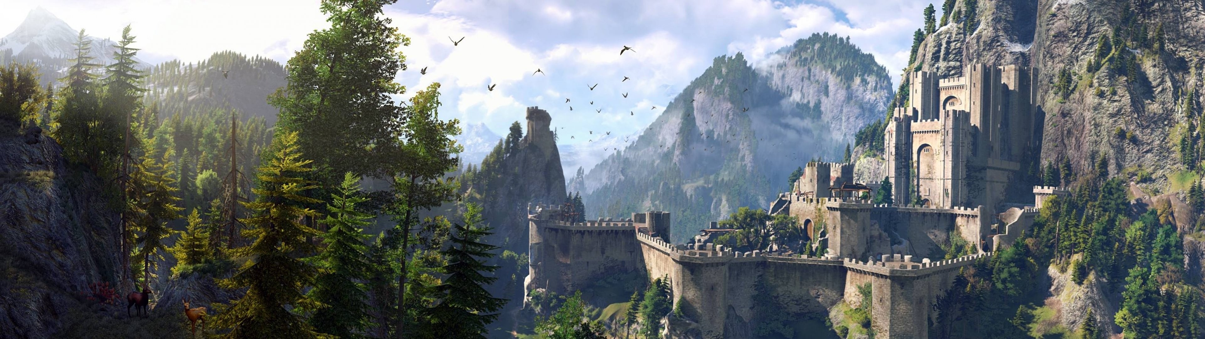 Fighting, Wallpaper Hd Mobile, Action, Dark, Wild, - Witcher 3 Wild Hunt Landscape - HD Wallpaper 