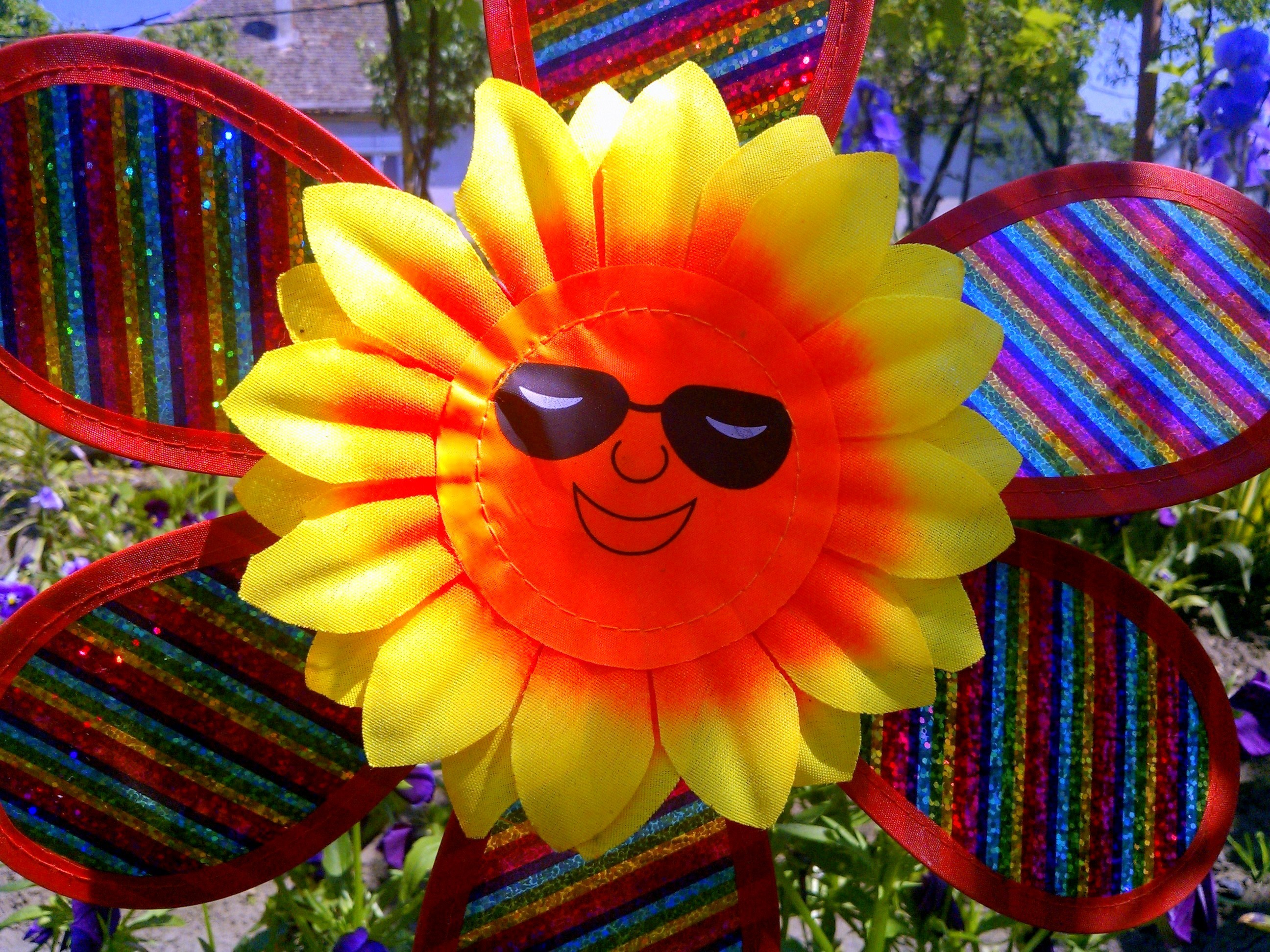 Hd Nature Wallpaper Amazing Fresh High Definition Beautiful - Sunflower - HD Wallpaper 