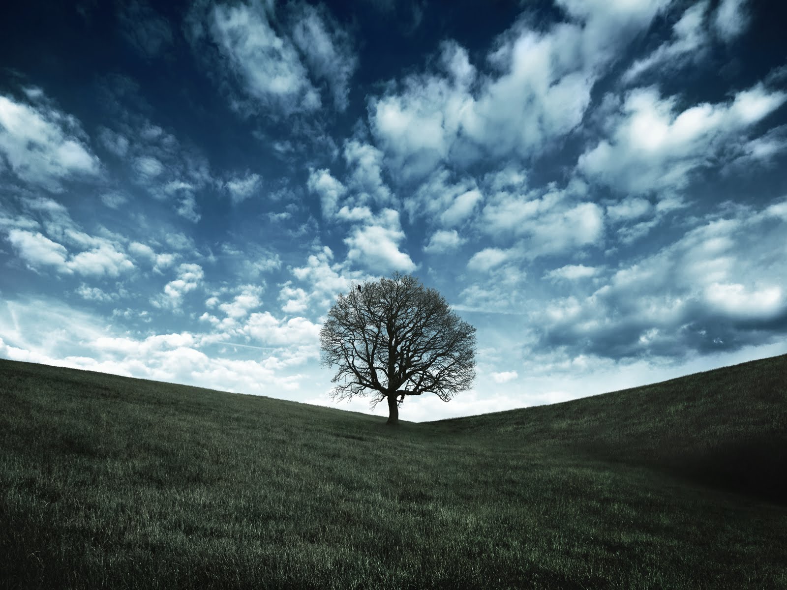 Free Wallpaper For Phone - HD Wallpaper 