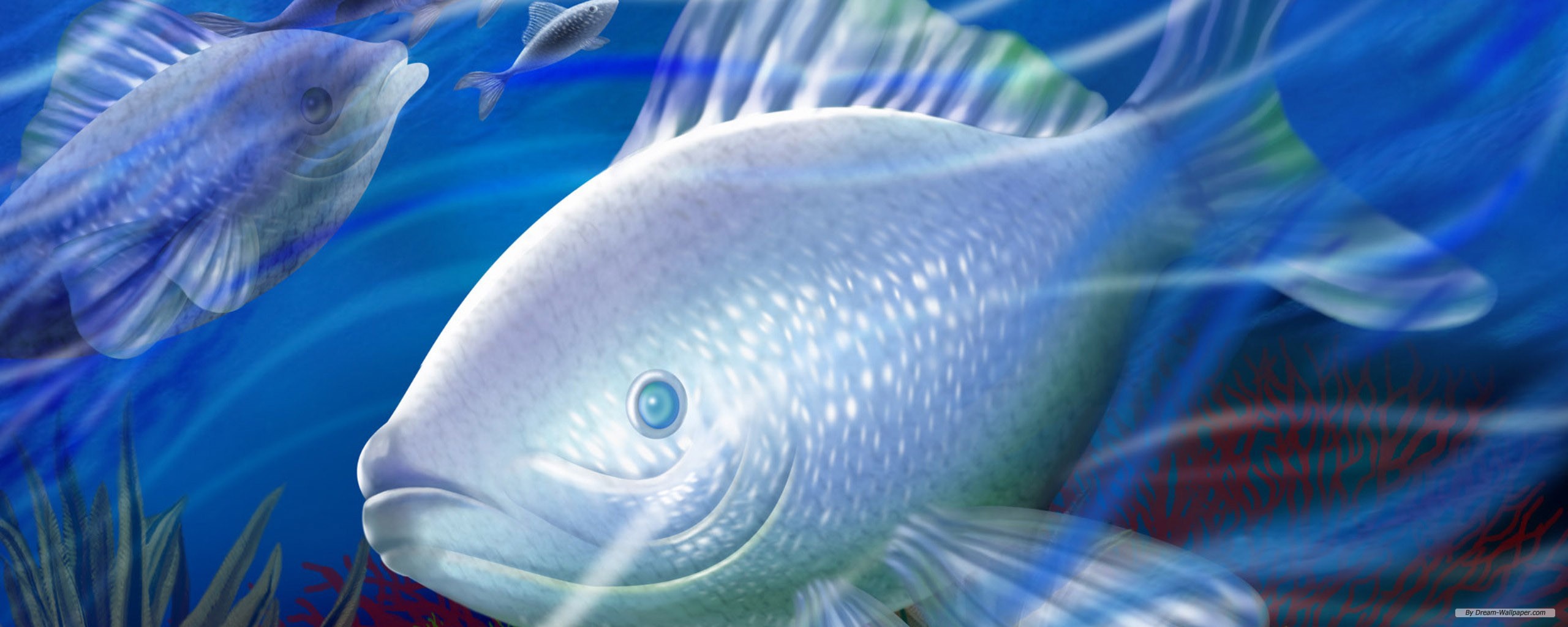 Screen Wallpaper Wallpaper Free Download - Hd Walpapar - HD Wallpaper 