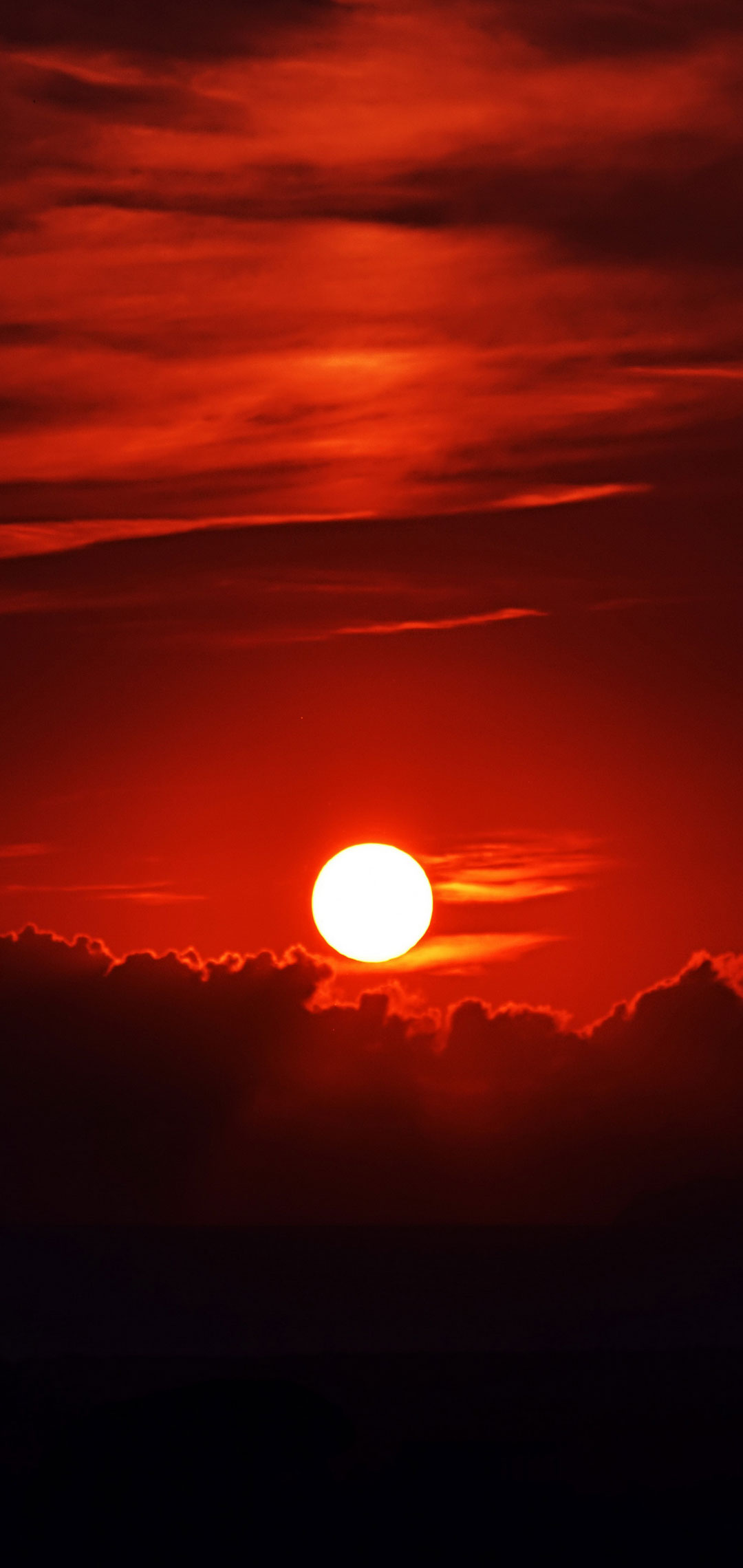 Sunset Wallpaper For Oneplus - HD Wallpaper 