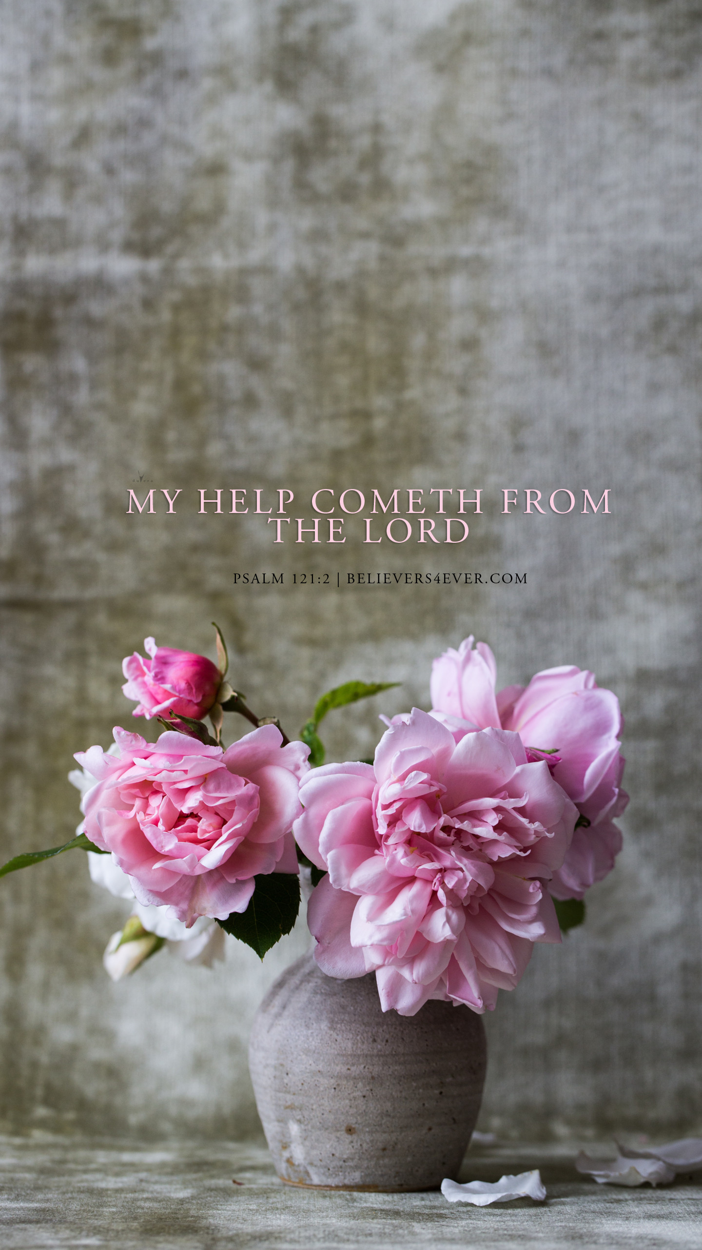 My Help - Psalm 121 - HD Wallpaper 
