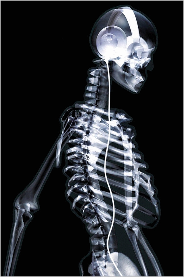 Top Iphone4 Coolest Cellphone Wallpaper X Ray Wallpaper Iphone 640x960 Wallpaper Teahub Io