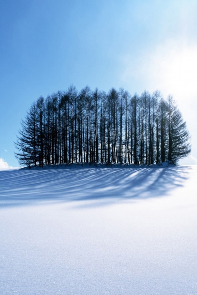 Facebook Cover Photos Adoption - HD Wallpaper 