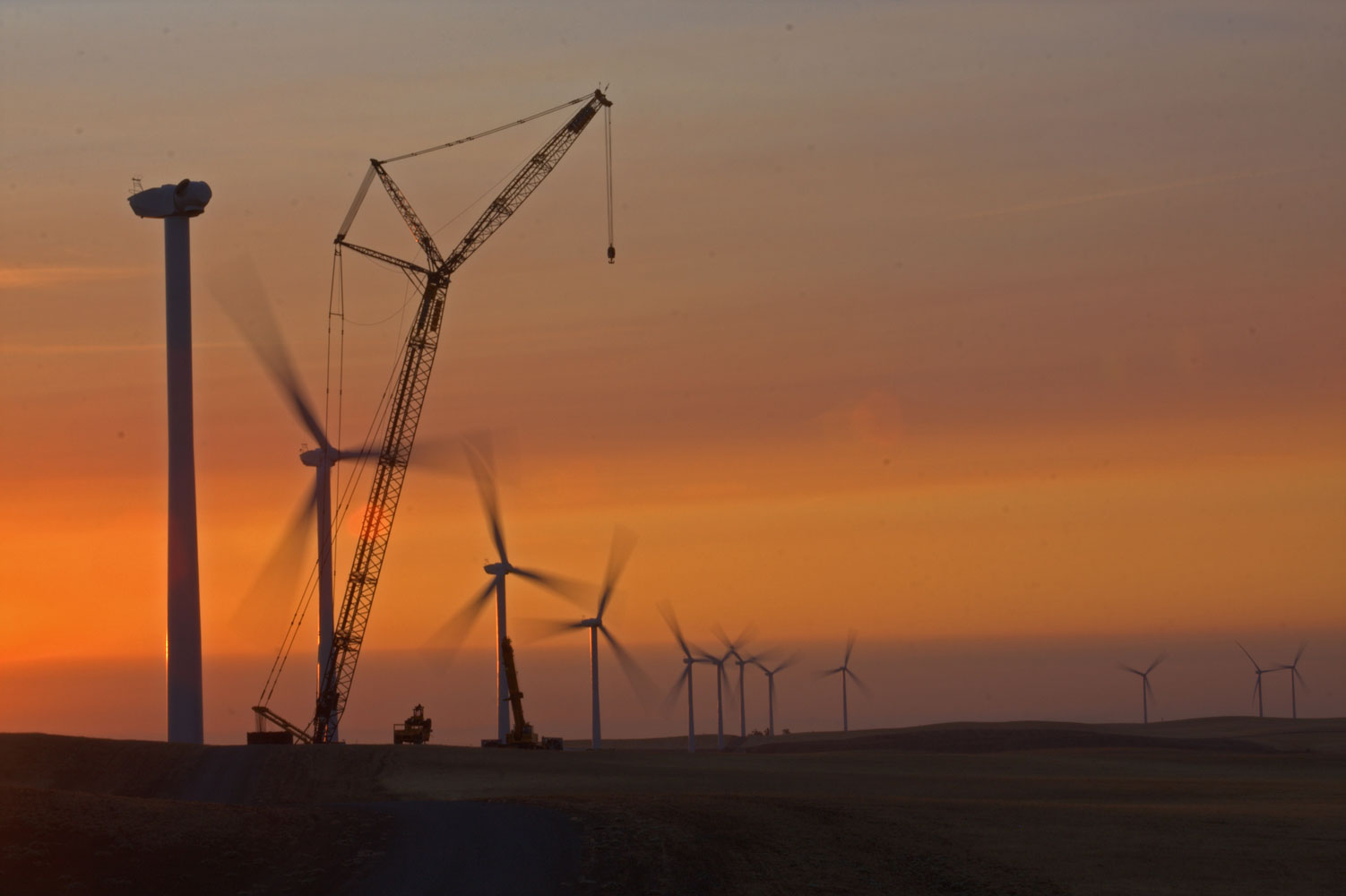 Download Crane Hd Wallpapers For Free - HD Wallpaper 