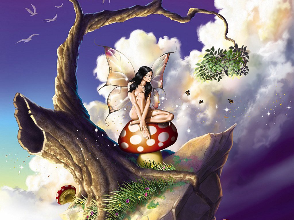 Fondo De Hadas - Fairy On Mushroom Hd - HD Wallpaper 