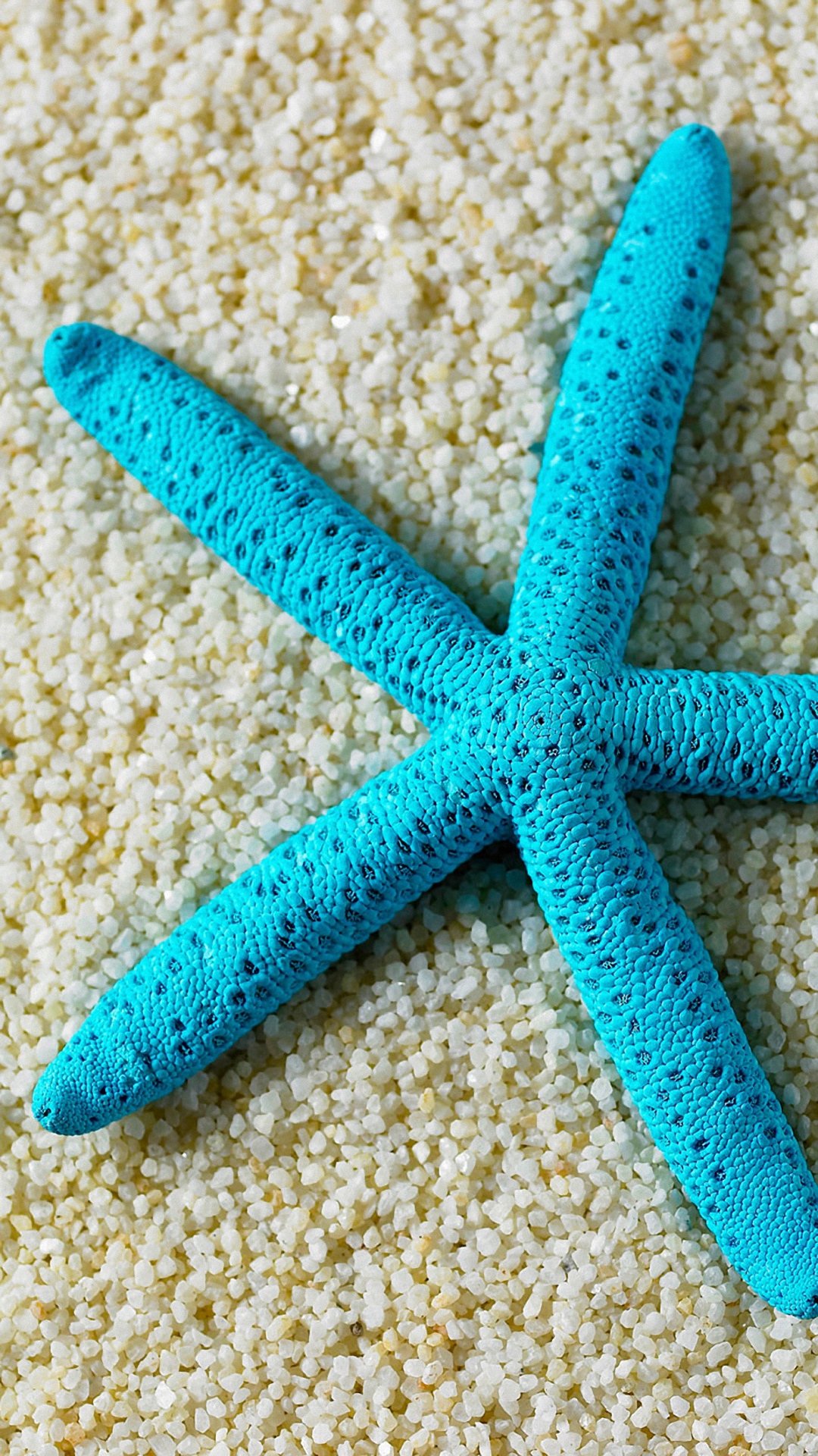 Hd Beach Starfish Samsung Galaxy A7 Wallpapers - Beach Wallpaper For Samsung Galaxy S3 - HD Wallpaper 