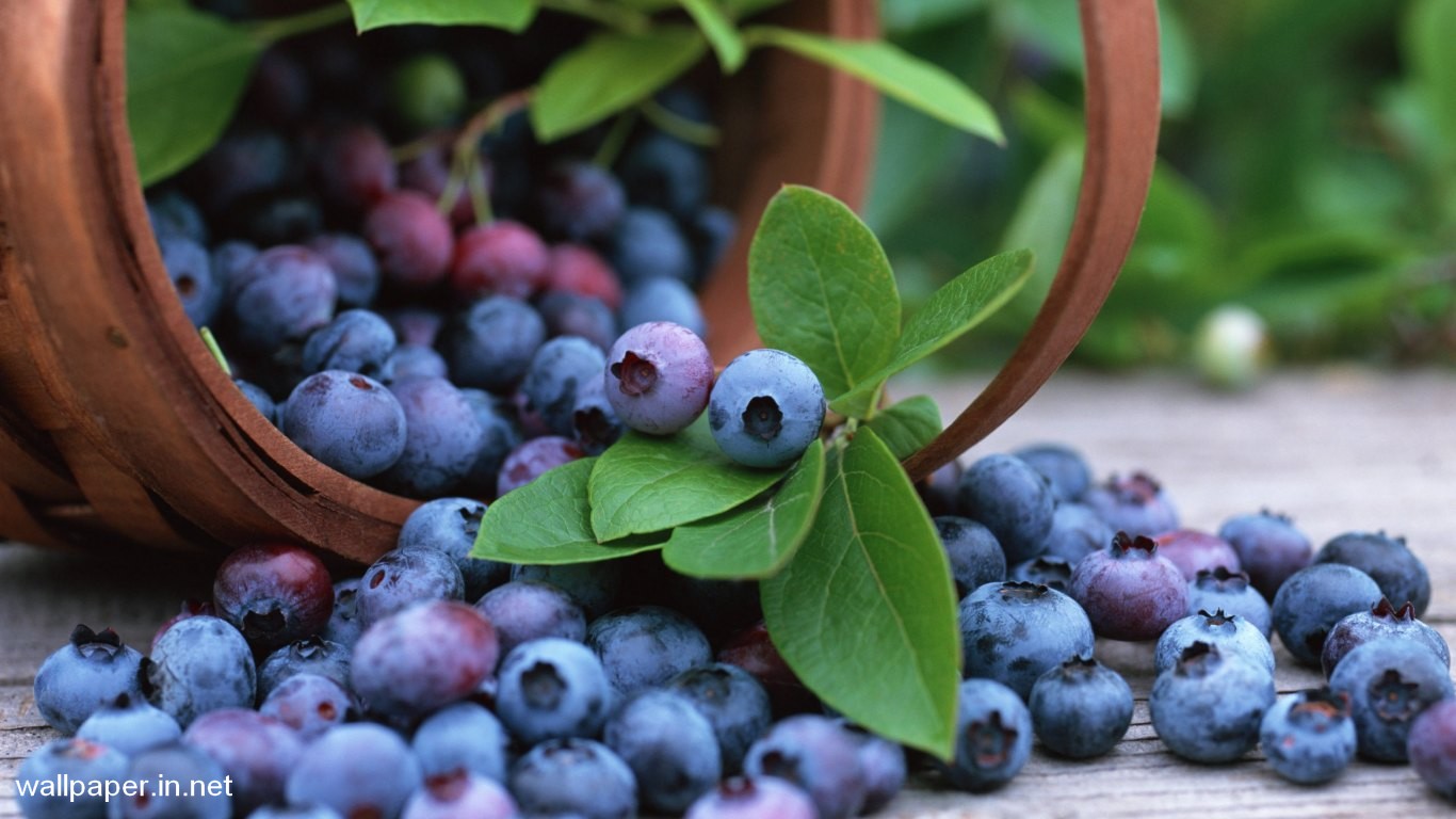 Free Hd Wallpaper Download For Mobile - Blueberry Hd - HD Wallpaper 