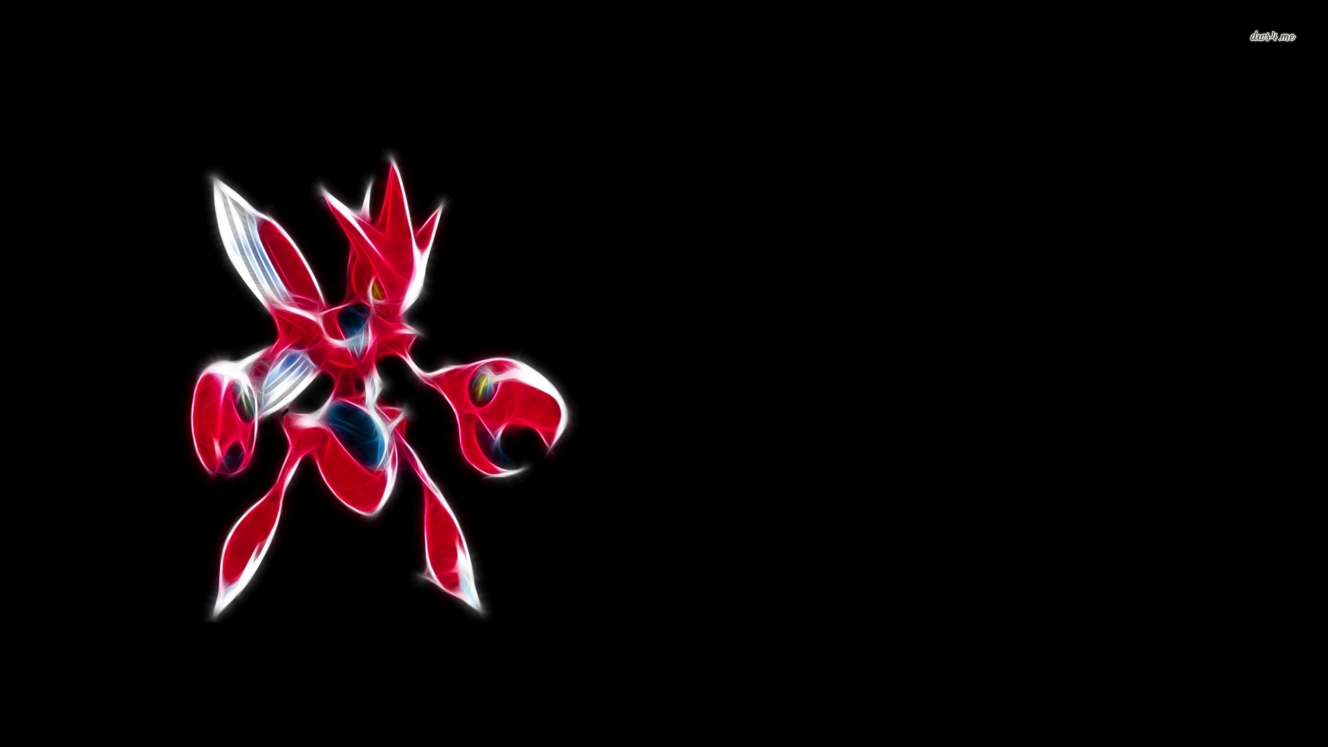 Orchid - HD Wallpaper 