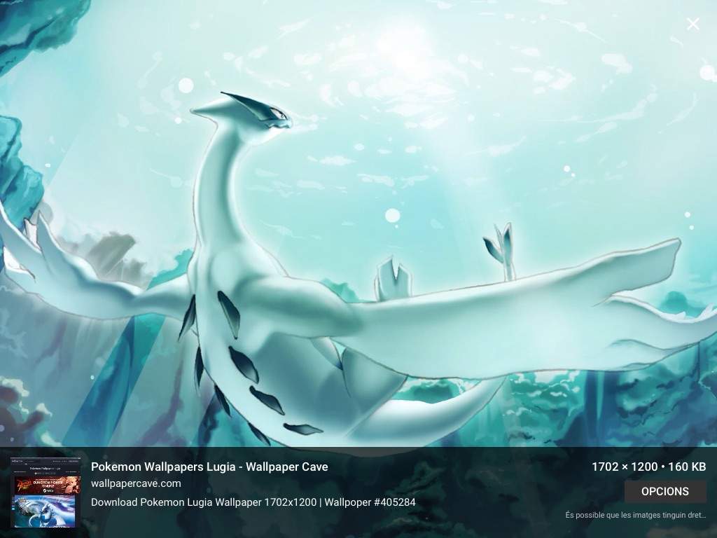 User Uploaded Image - 4k Phone Wallpaper Pokemon - HD Wallpaper 