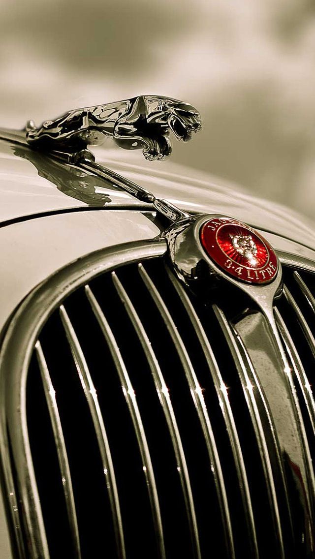 Jaguar Logo Hd Wallpapers 1080p Images Hd Wallpapers - Hd Wallpaper 1080p Jaguar Logo - HD Wallpaper 