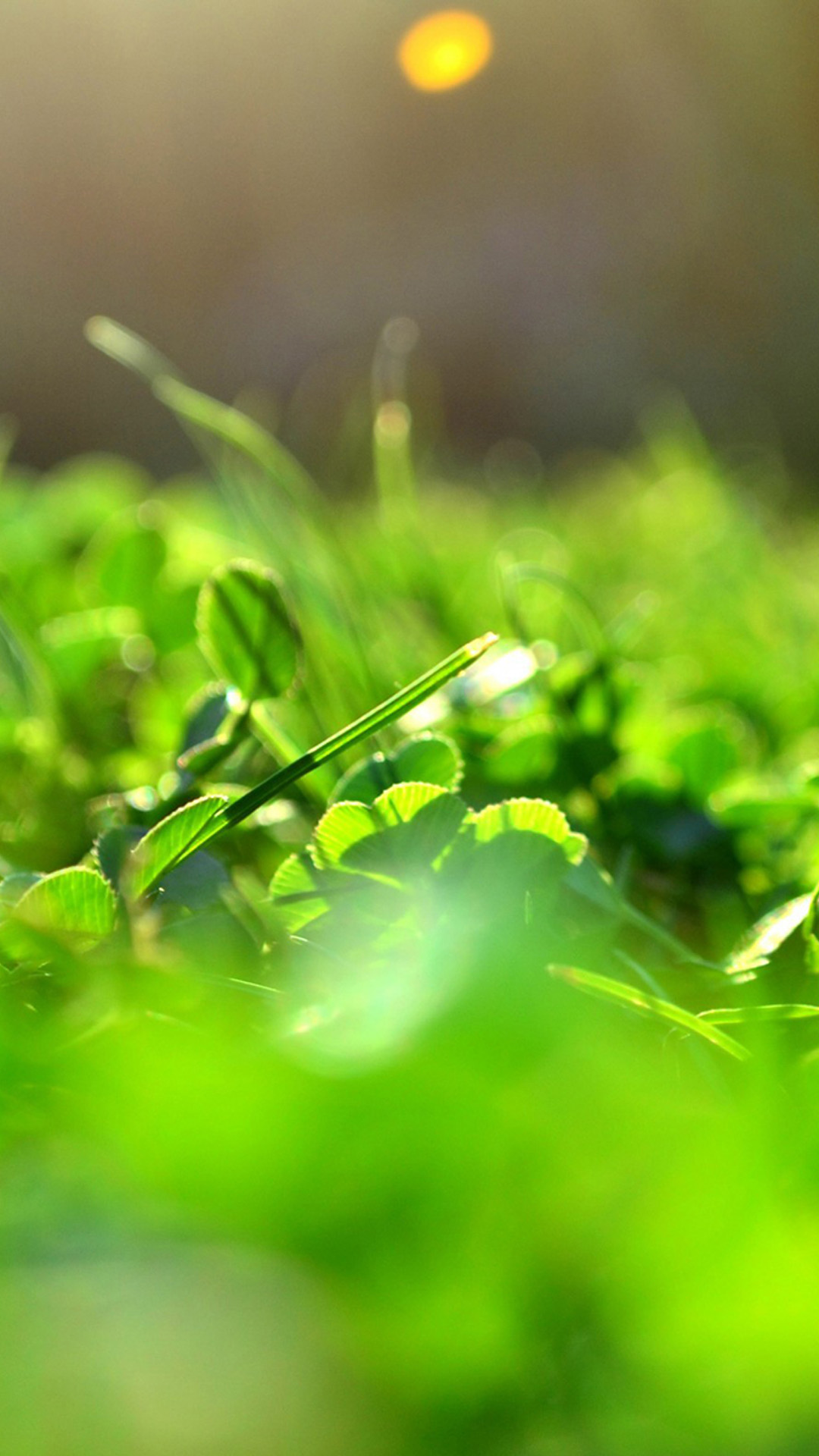 Hd Wallpapers For Samsung Galaxy S5 - High Resolution Samsung Wallpaper Full Hd - HD Wallpaper 