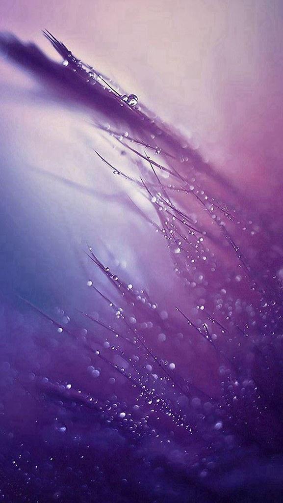 Samsung Galaxy S9 Hd - HD Wallpaper 