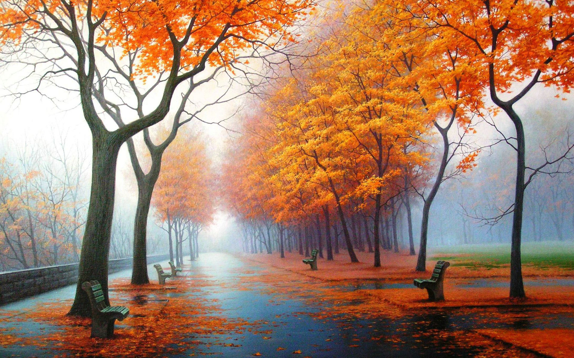 Autumn Hd Wallpapers And Backgrounds - HD Wallpaper 