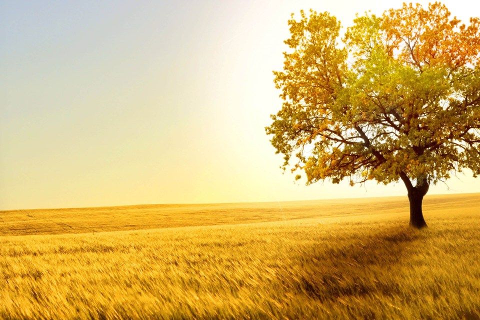 5d Background - HD Wallpaper 