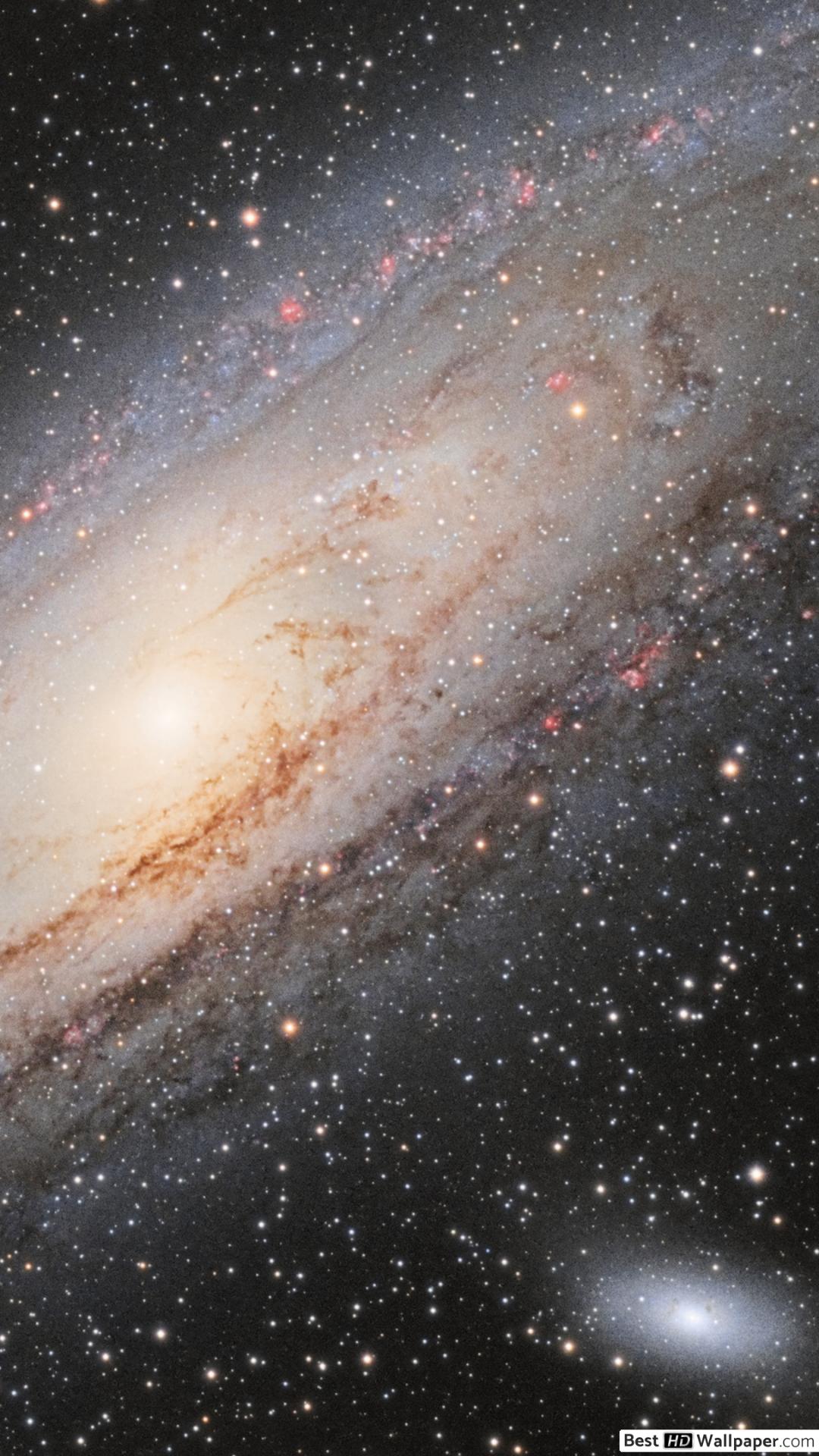 Apple - HD Wallpaper 