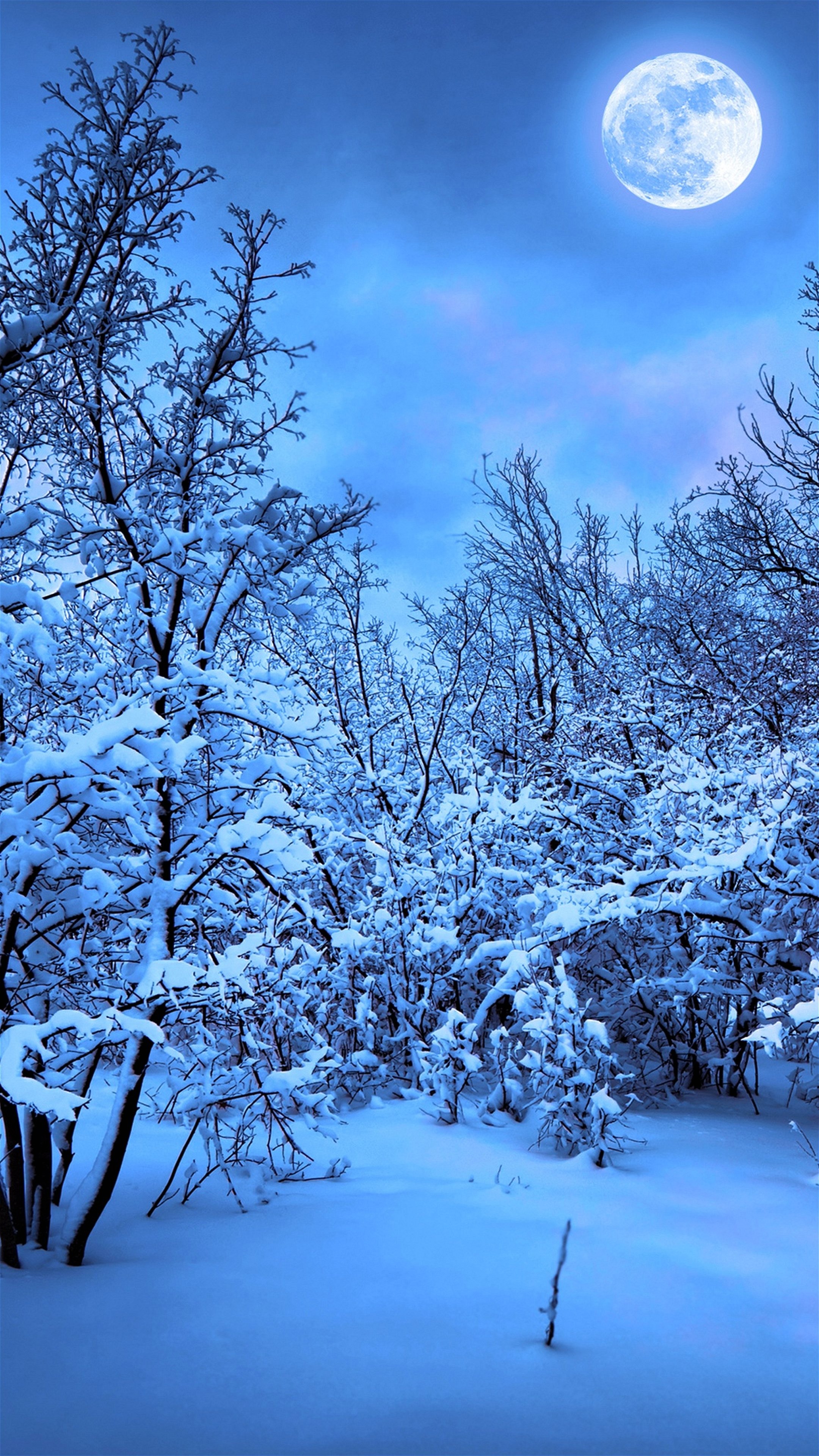 Wallpaper Samsung Galaxy Noteultra Hd Eiffel 2160 3840 - Winter Night Forest Painting - HD Wallpaper 