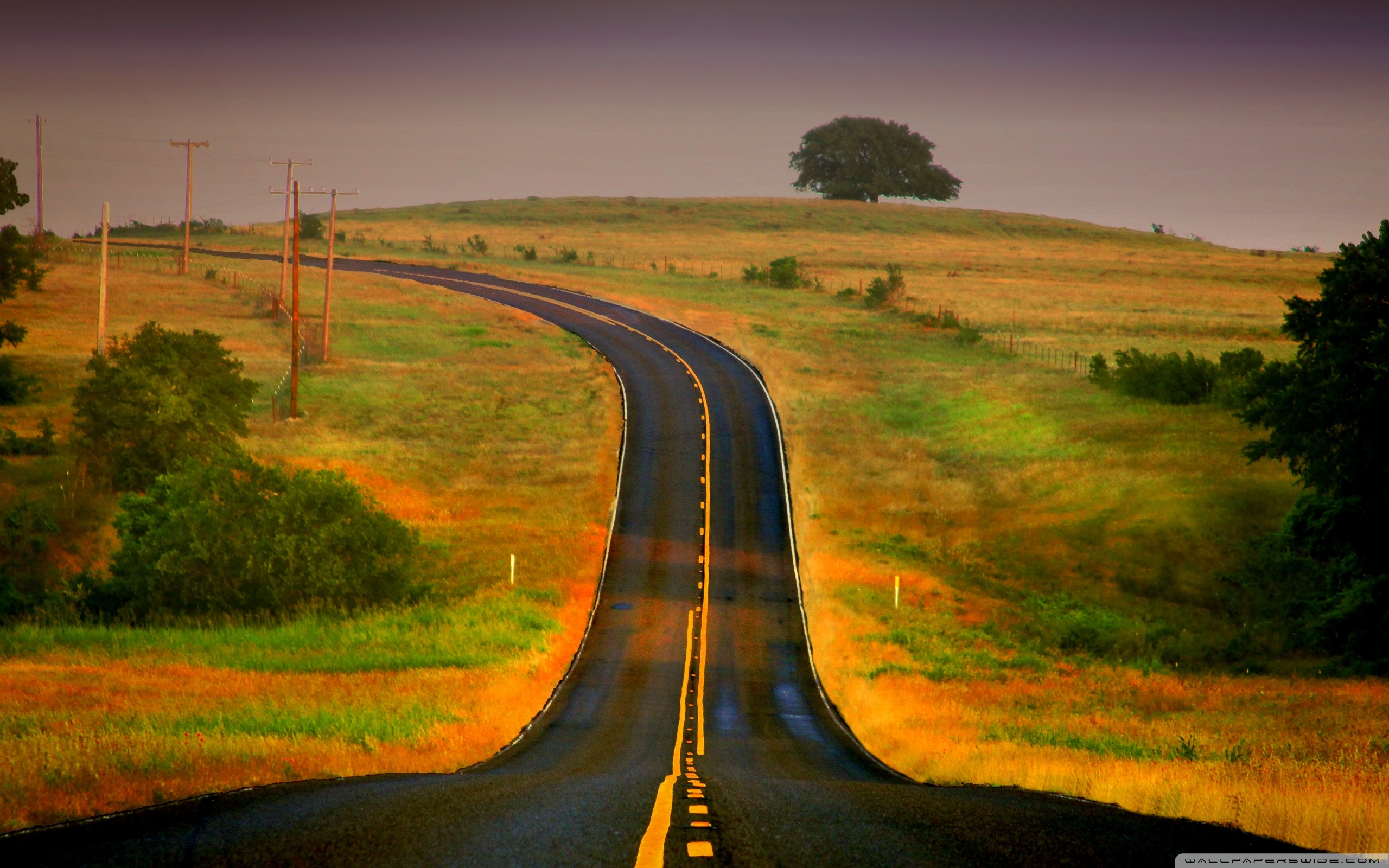 Hd Wallpapers Nature Road - HD Wallpaper 