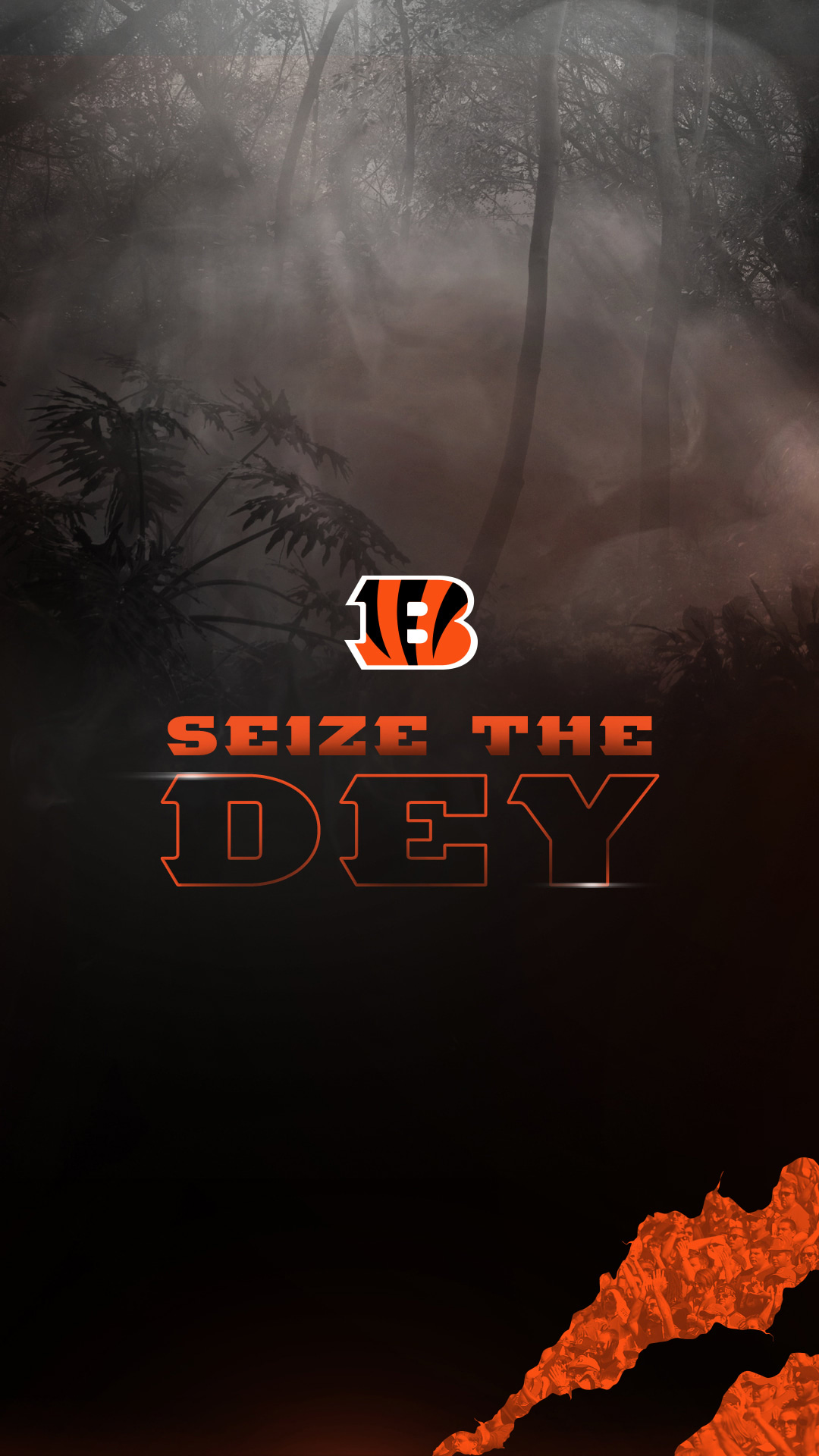 Seize The Dey - Seize The Day Bengals - HD Wallpaper 