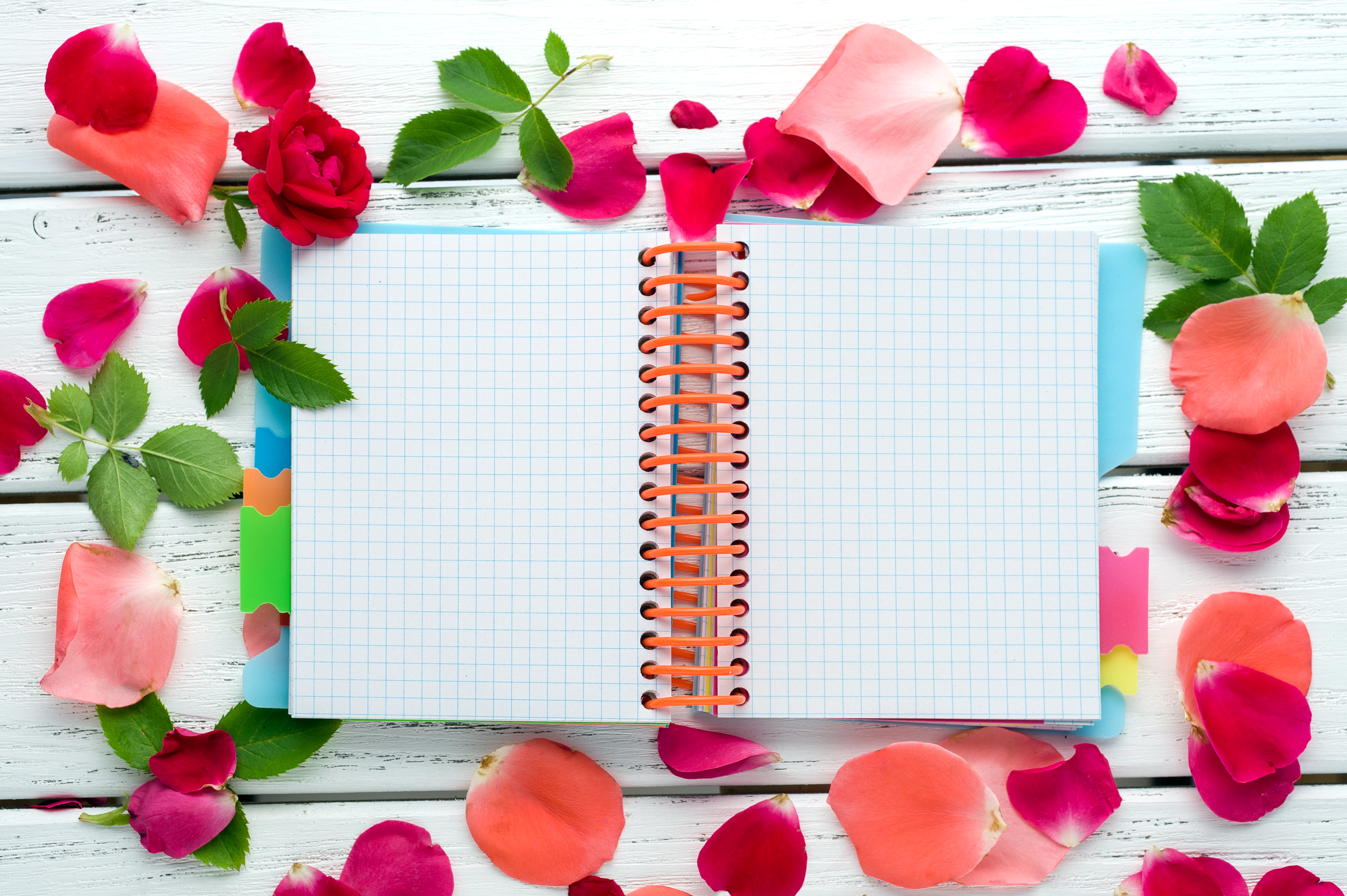 Flower On Notebook Hd - HD Wallpaper 