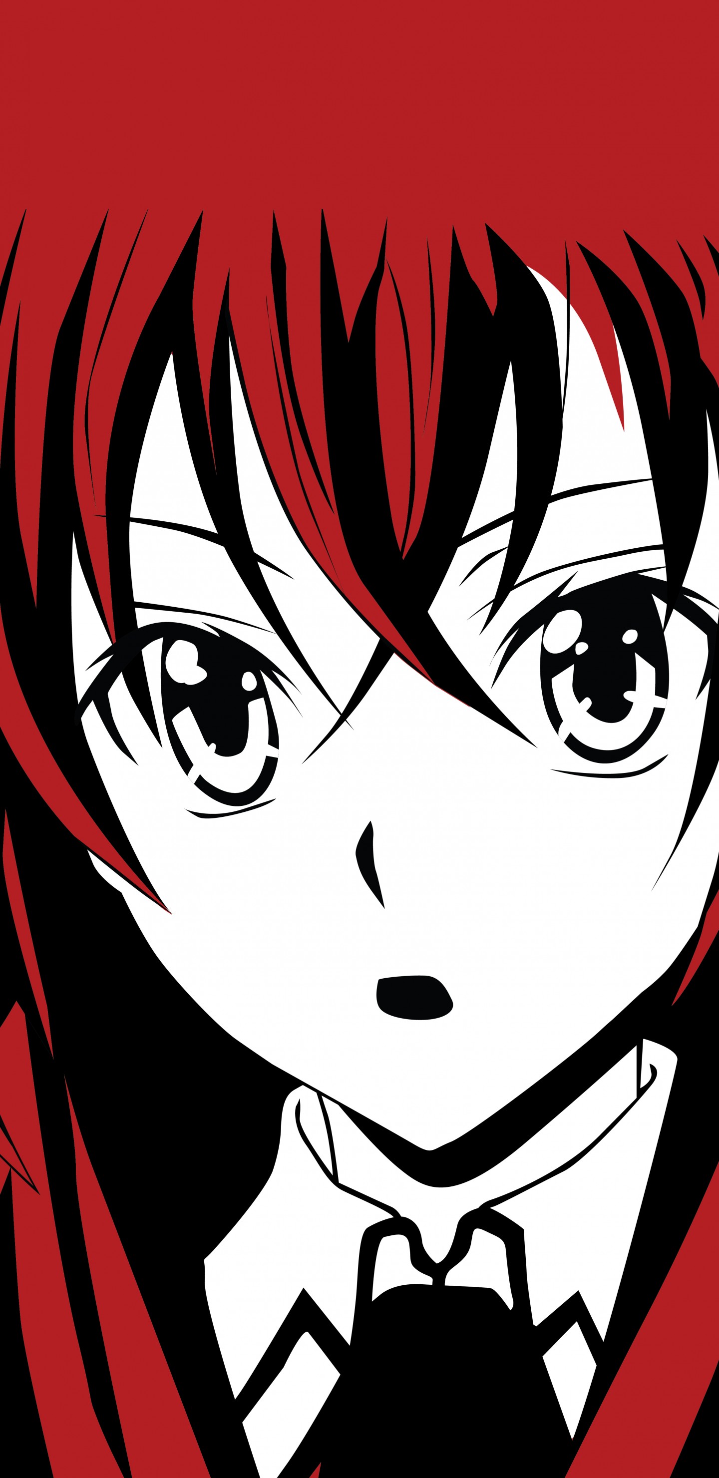 Rias Gremory 4k Phone - HD Wallpaper 