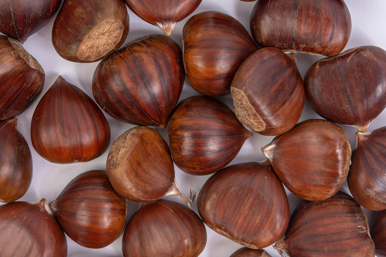 Hazelnut - HD Wallpaper 