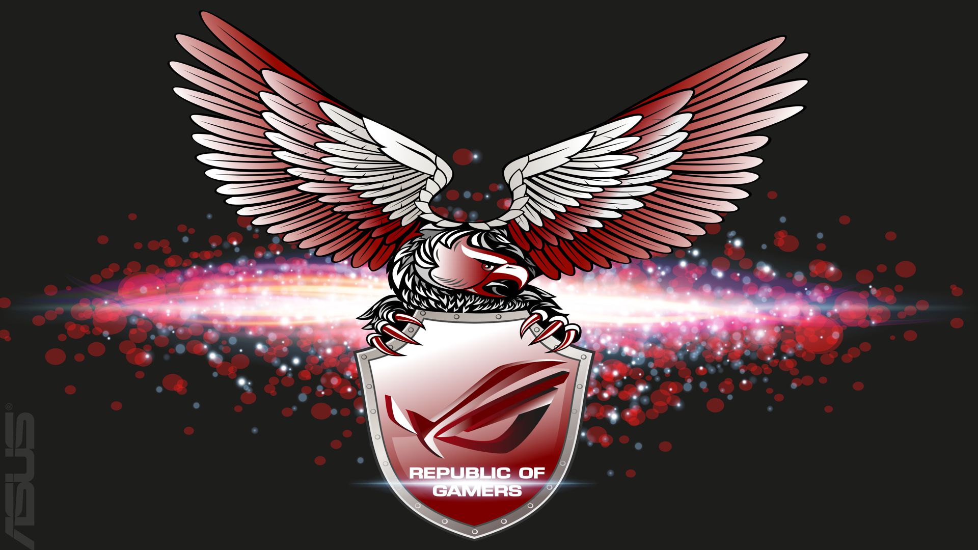 Rog Wallpaper Collection 2013 - Accipitriformes - HD Wallpaper 