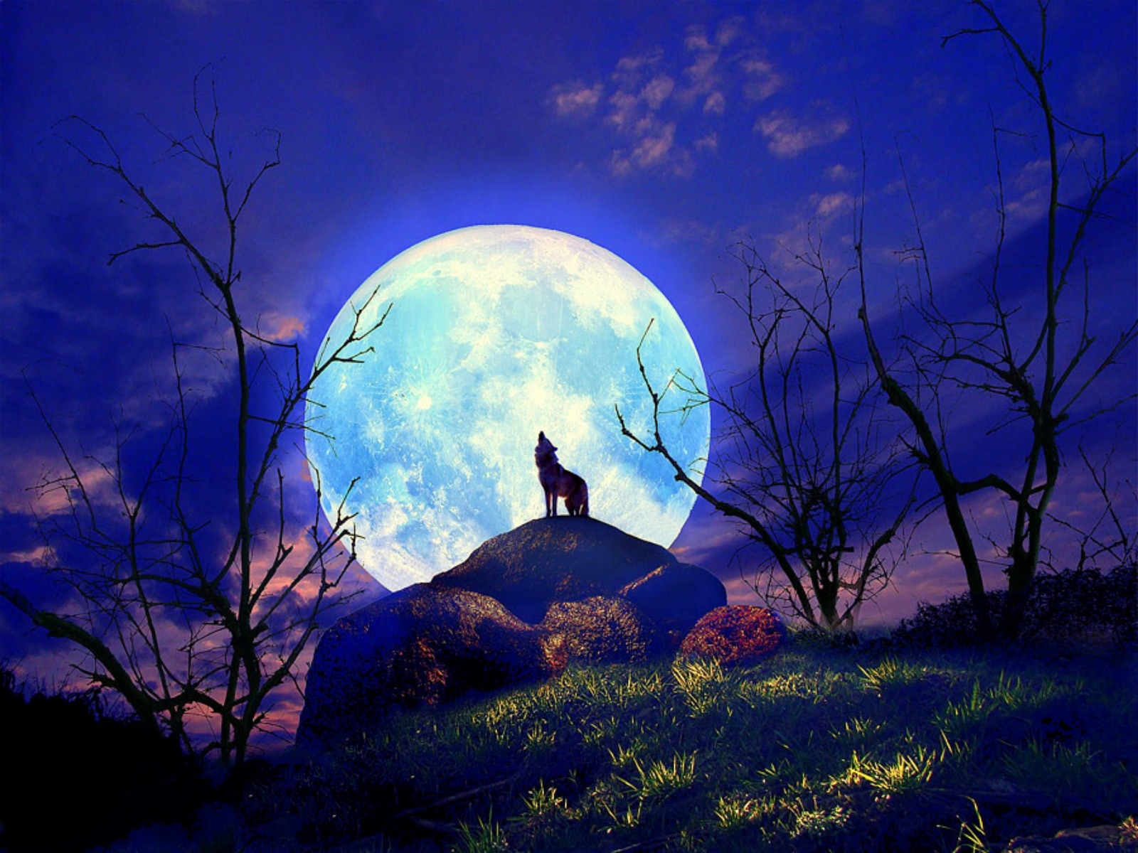 Super Moon - You Are My Moon And I Am Your Wolf - HD Wallpaper 