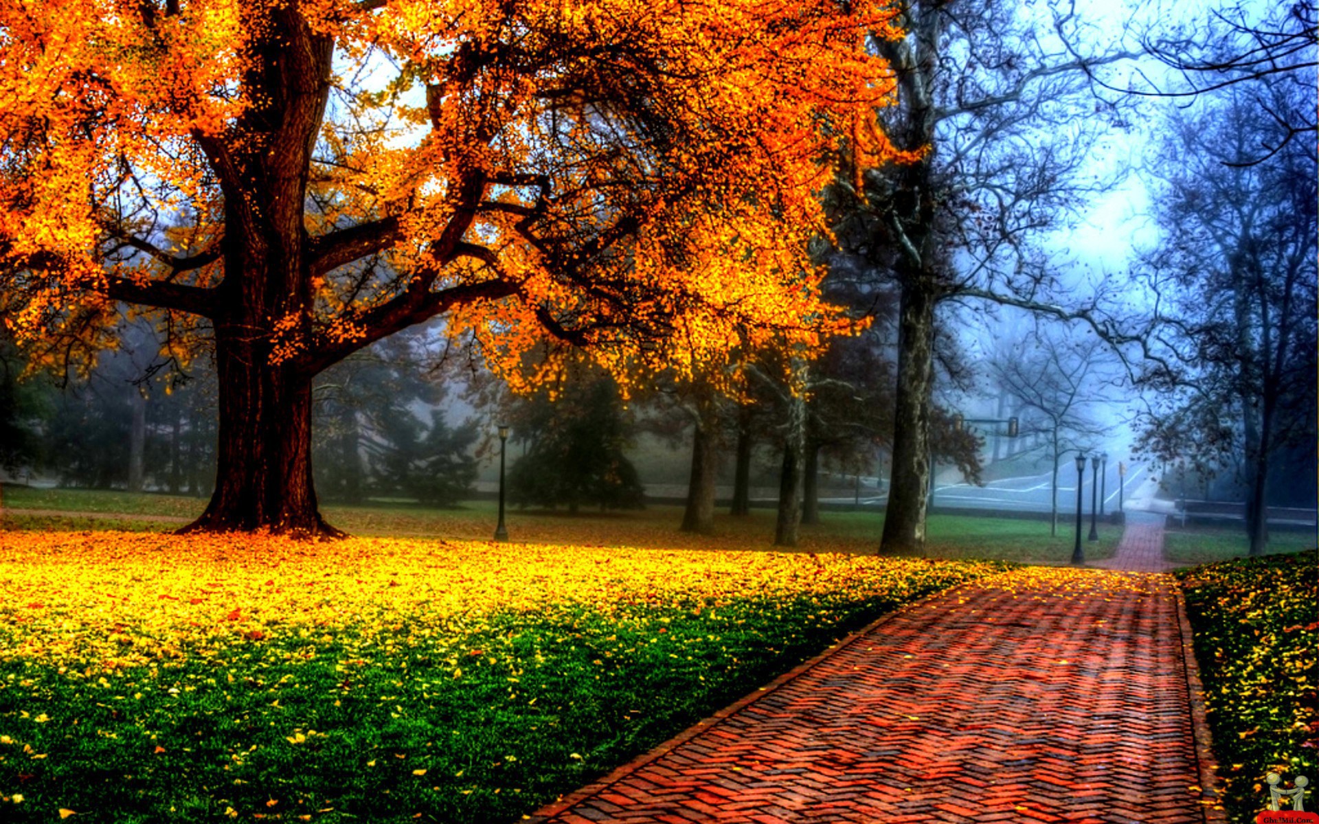Beautiful Wallpapers Hd Download - Beautiful Images Hd - 1920x1200 Wallpaper Beautiful Wallpapers Hd Download - Beautiful Images Hd - 1920x1200 Wallpaper
