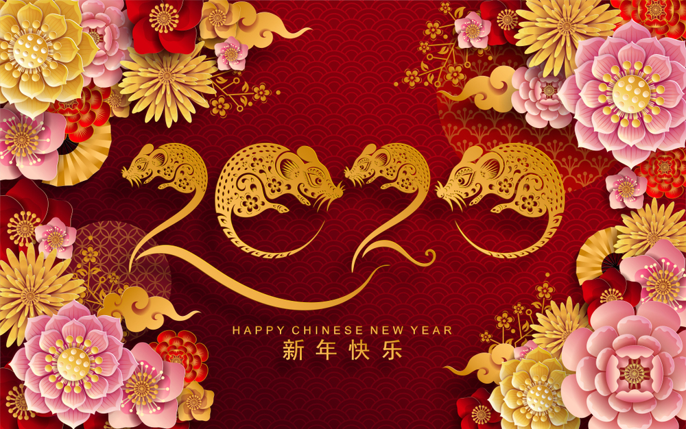 Chinese New Year 2020 Wallpaper - Chinese New Year 2020 Flower - HD Wallpaper 