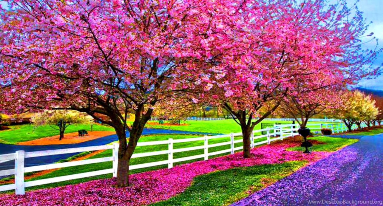 A Beautiful Spring Day Computer Wallpapers Desktop - Spring Beautiful Images Of Nature - HD Wallpaper 