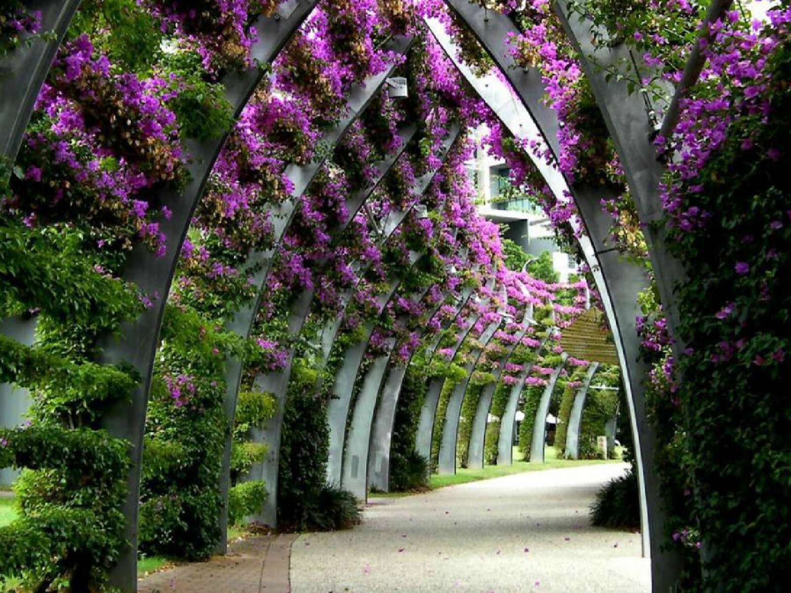 Flower Beautiful Images Of Nature - HD Wallpaper 