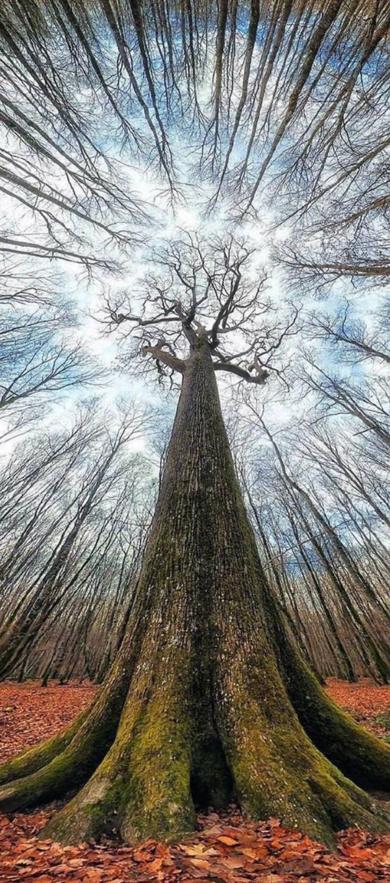 Photography - HD Wallpaper 