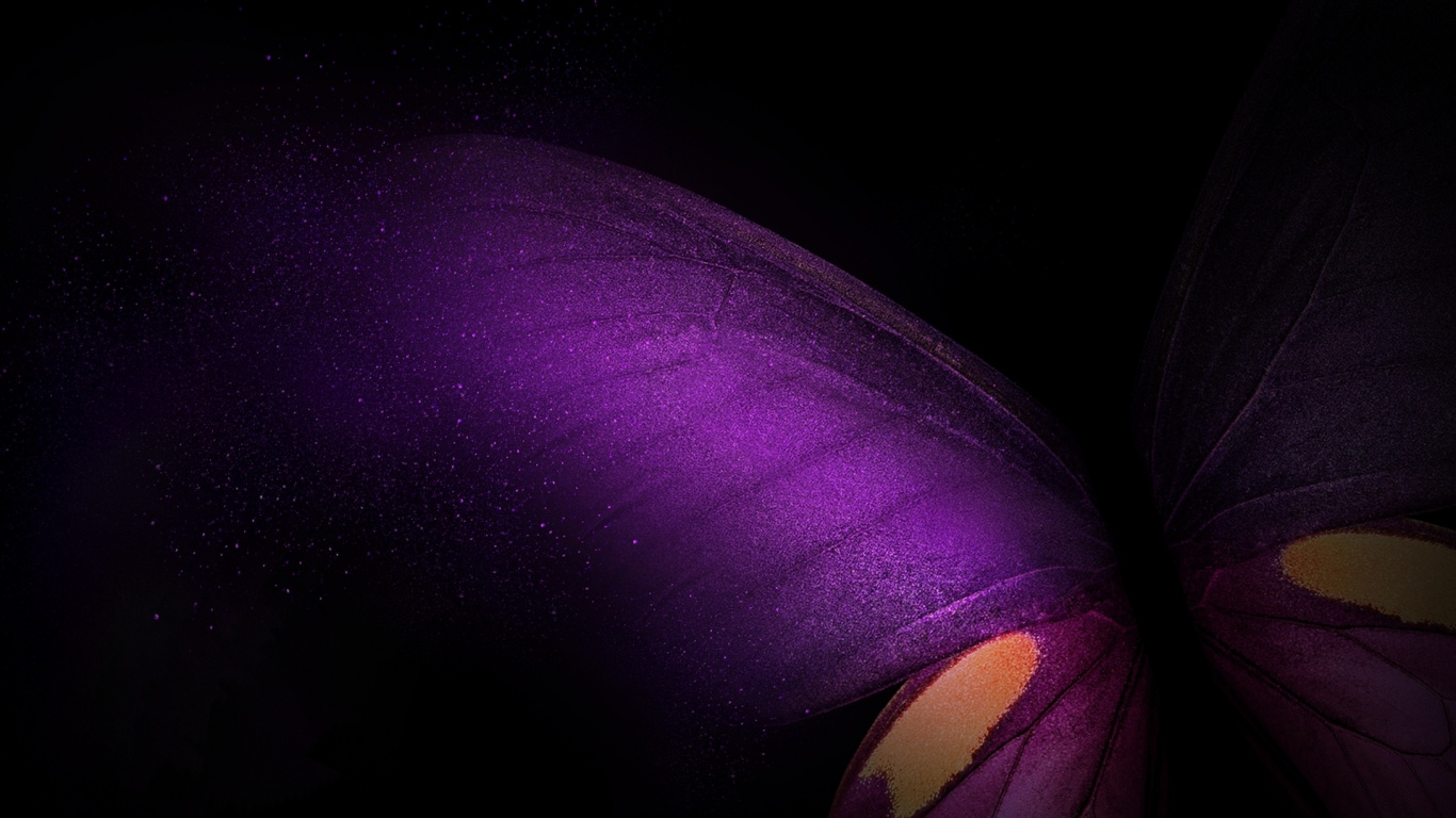 Samsung Galaxy Fold, Butterfly, Purple Pink Black, - Macro Photography - HD Wallpaper 